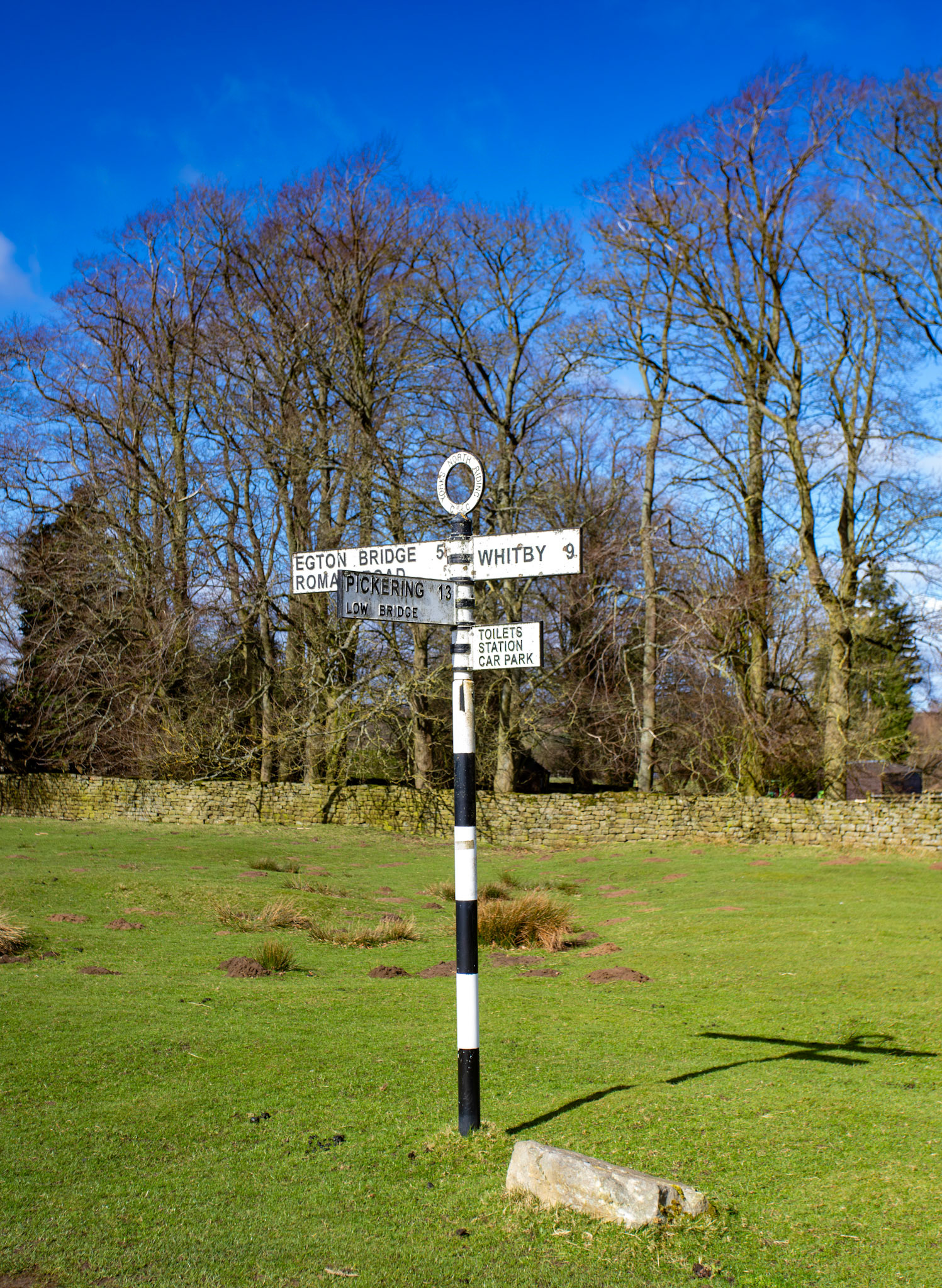 Goathland - North York Moors 25 March 2026
