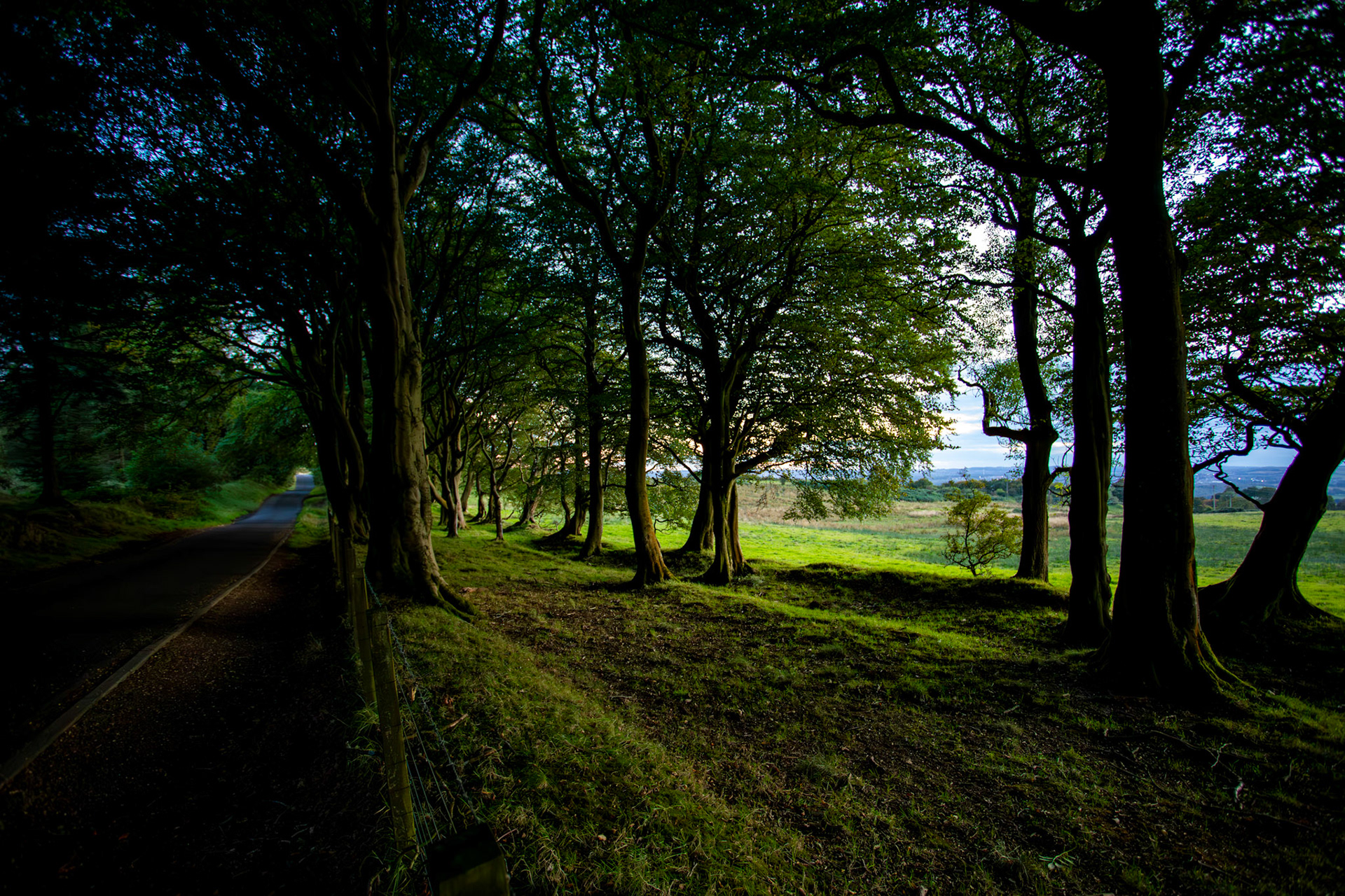 Sunset Bathgate Hills 16 Sept 2024