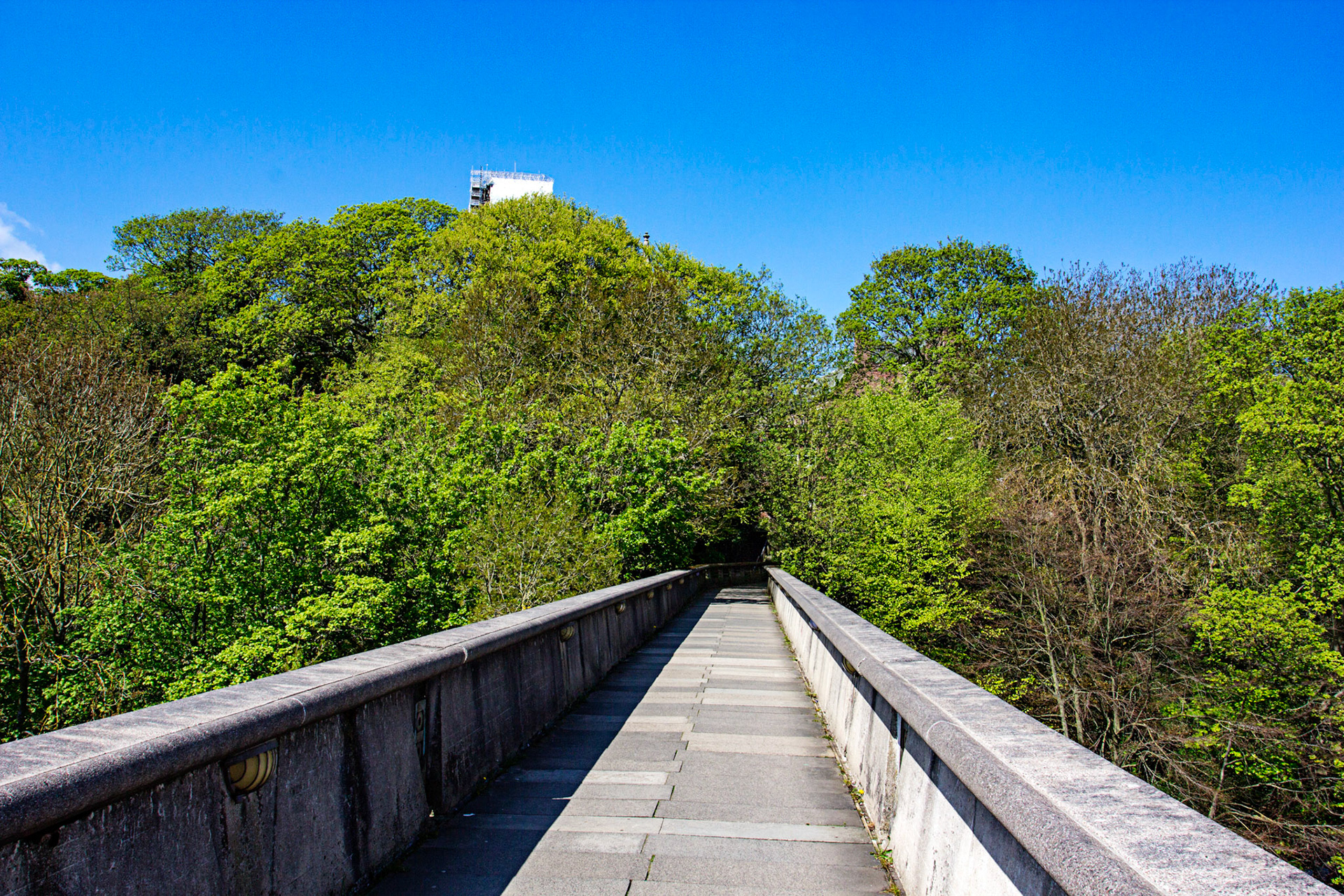 Durham 04 to  07 May 2018Please see my other Photographs at: www.jamespdeans.co.uk