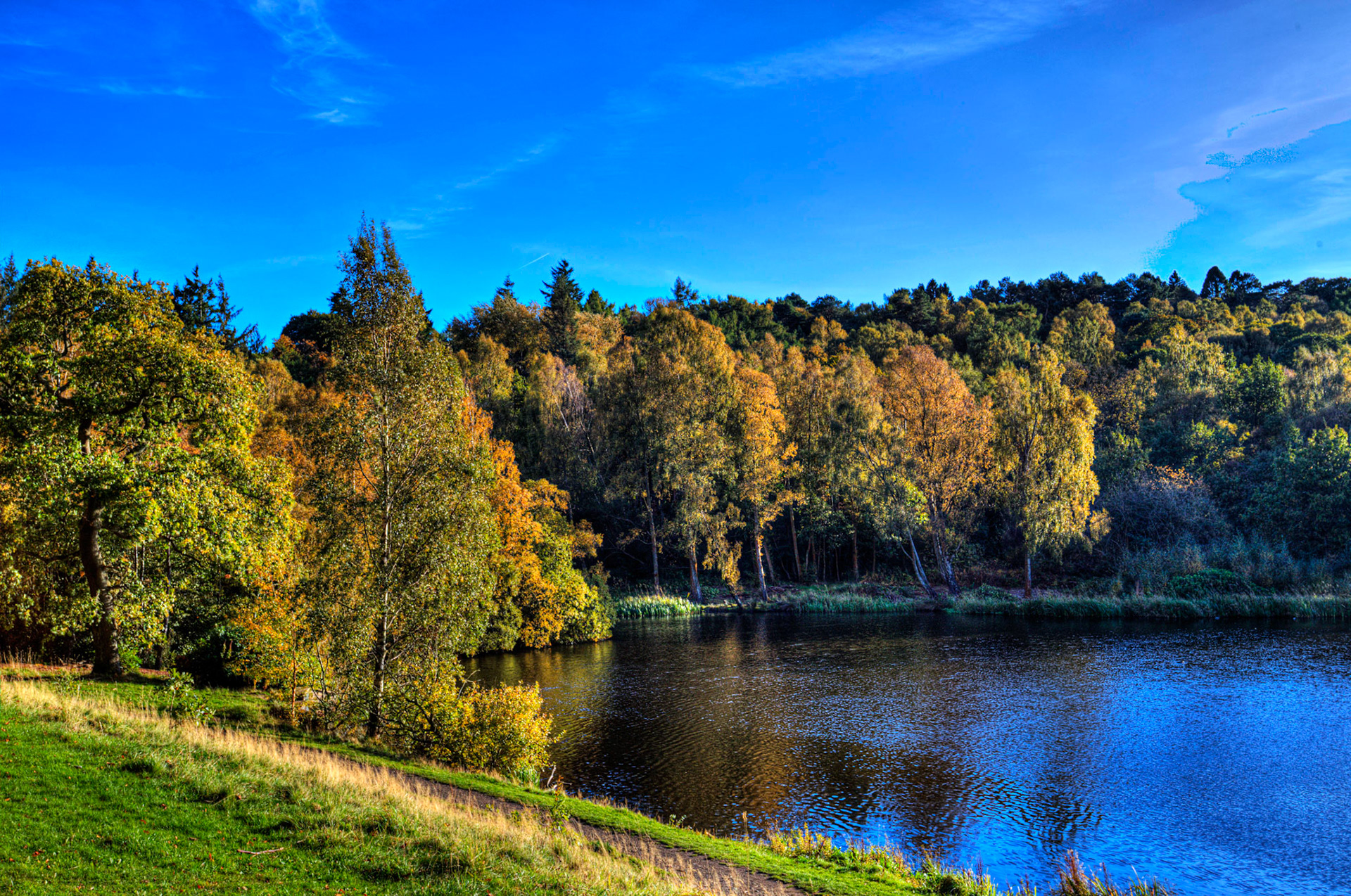 Callendar Park, Falkirk 11 October 2025
