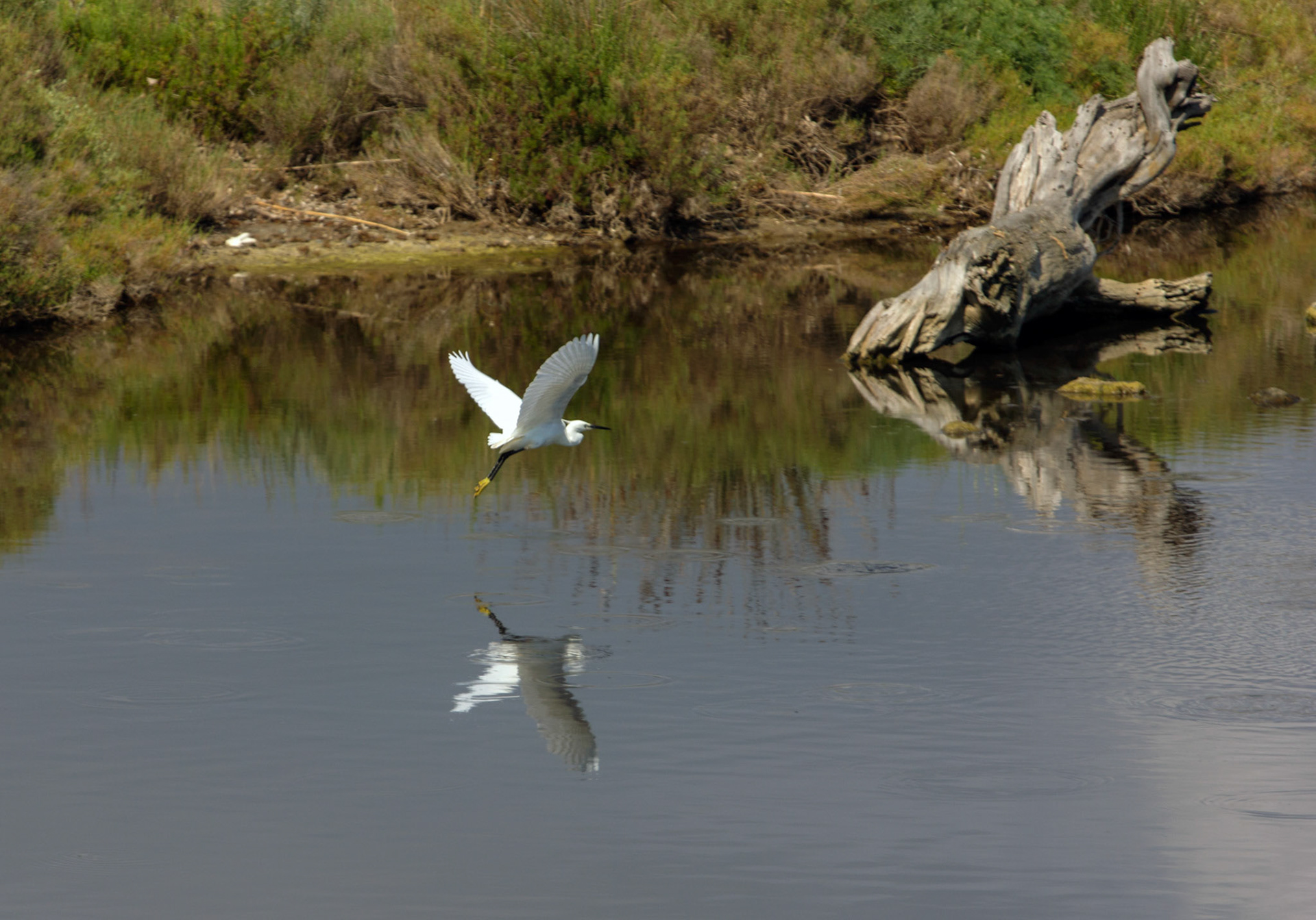 AlcudiaPlease see my other Photographs at: www.jamespdeans.co.uk