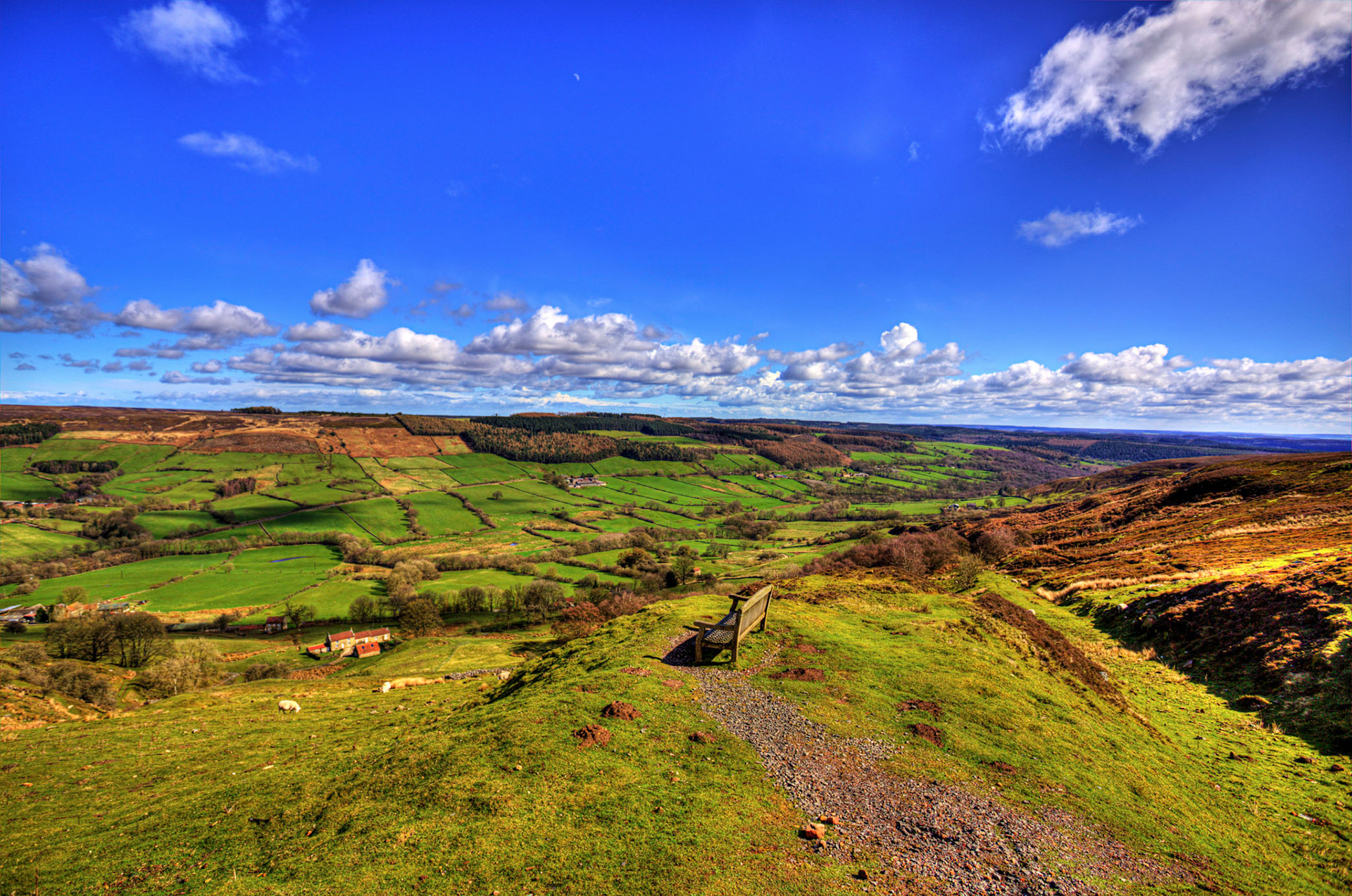 Chimney Bank - North York Moors 25 March 2026