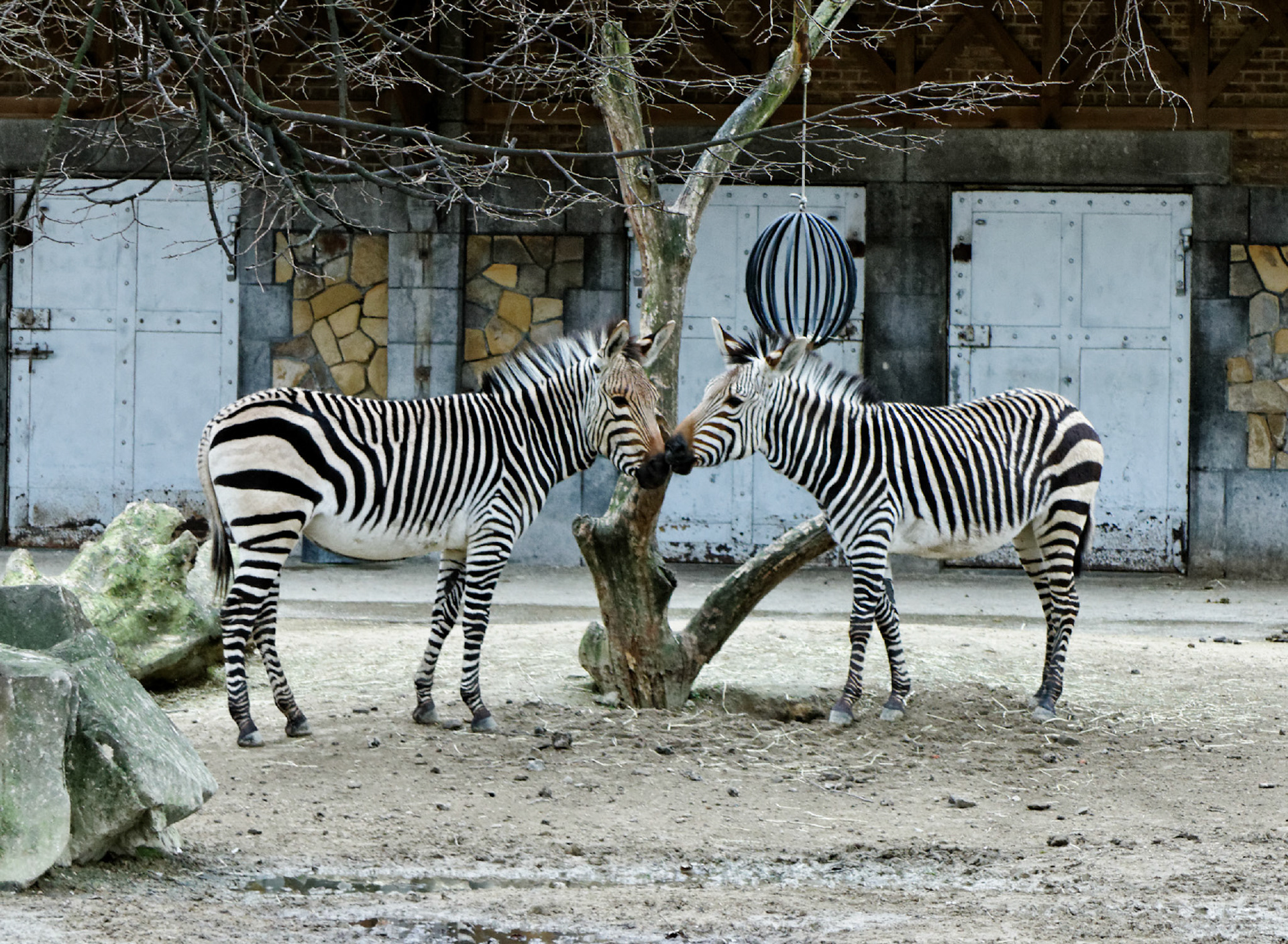 AntwerpPlease see my other Photographs at: http://www.jamespdeans.co.uk/