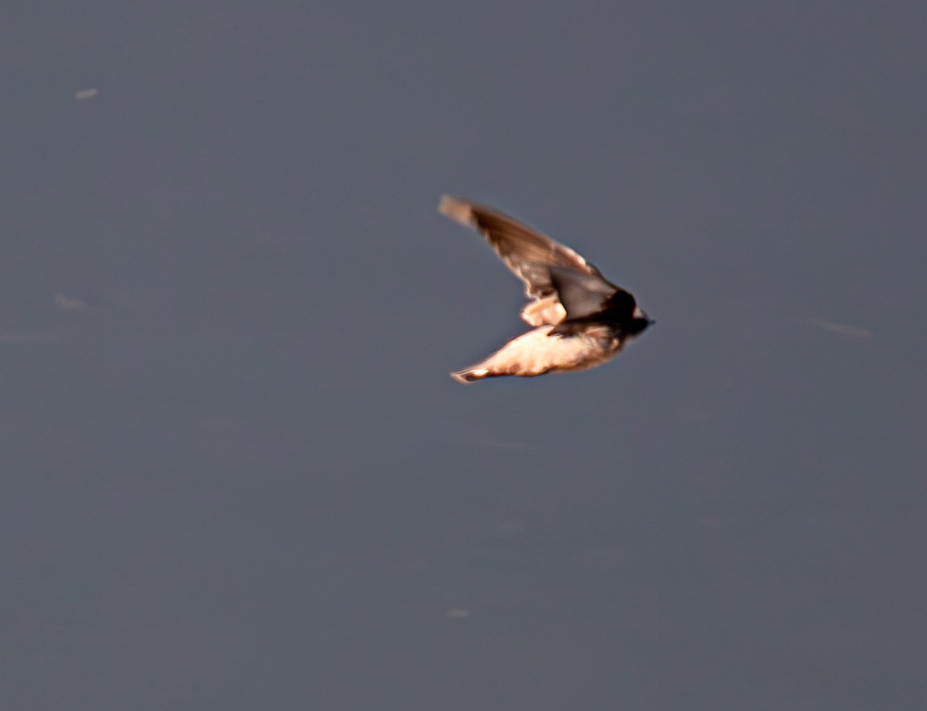 Crag Martin - Barca de Alva 22 August 2026