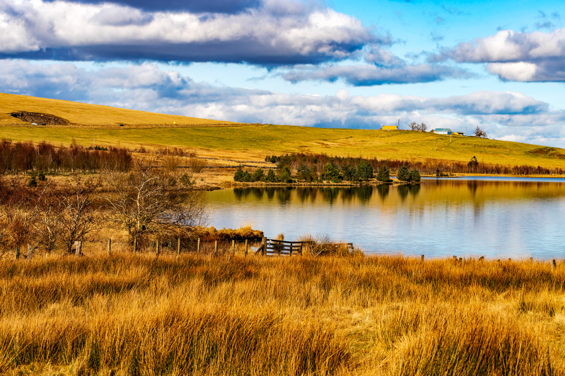 Harperrig Reservoir 26 Feb 2024