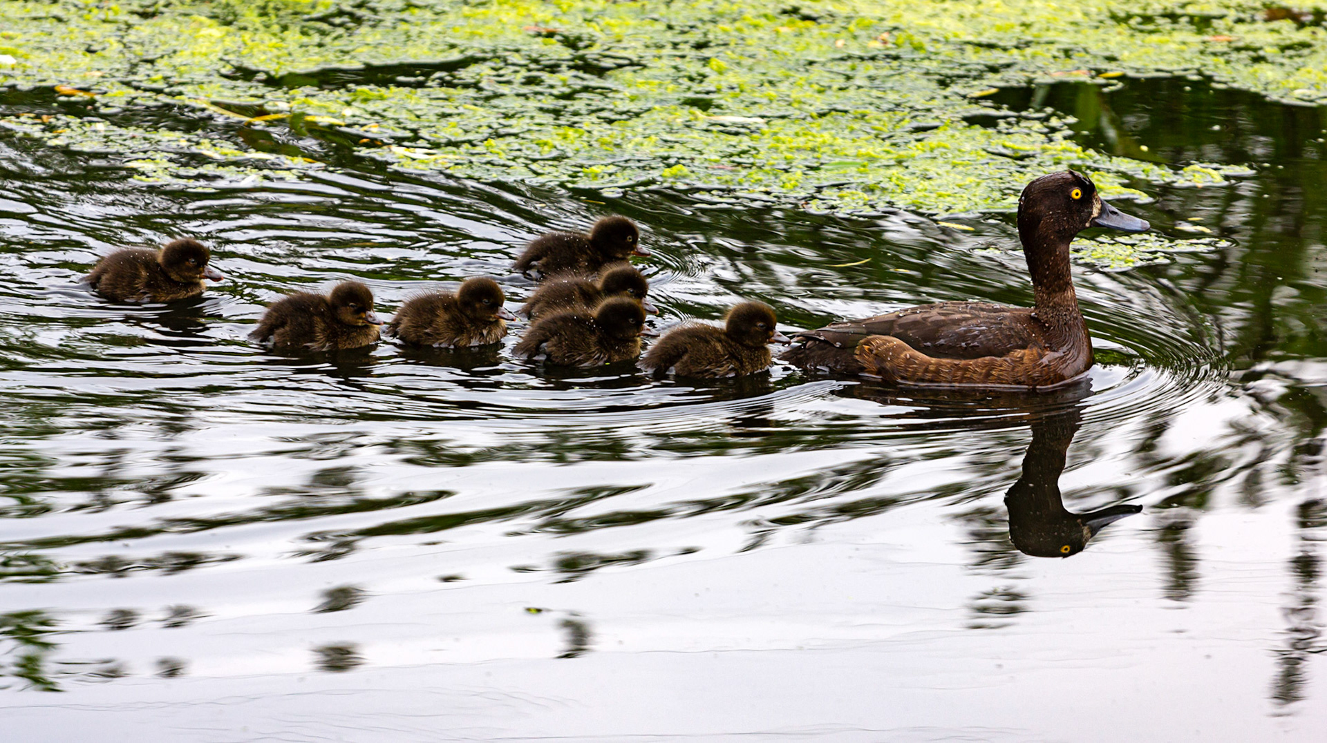 Little Moreton Hall  17 June 2023