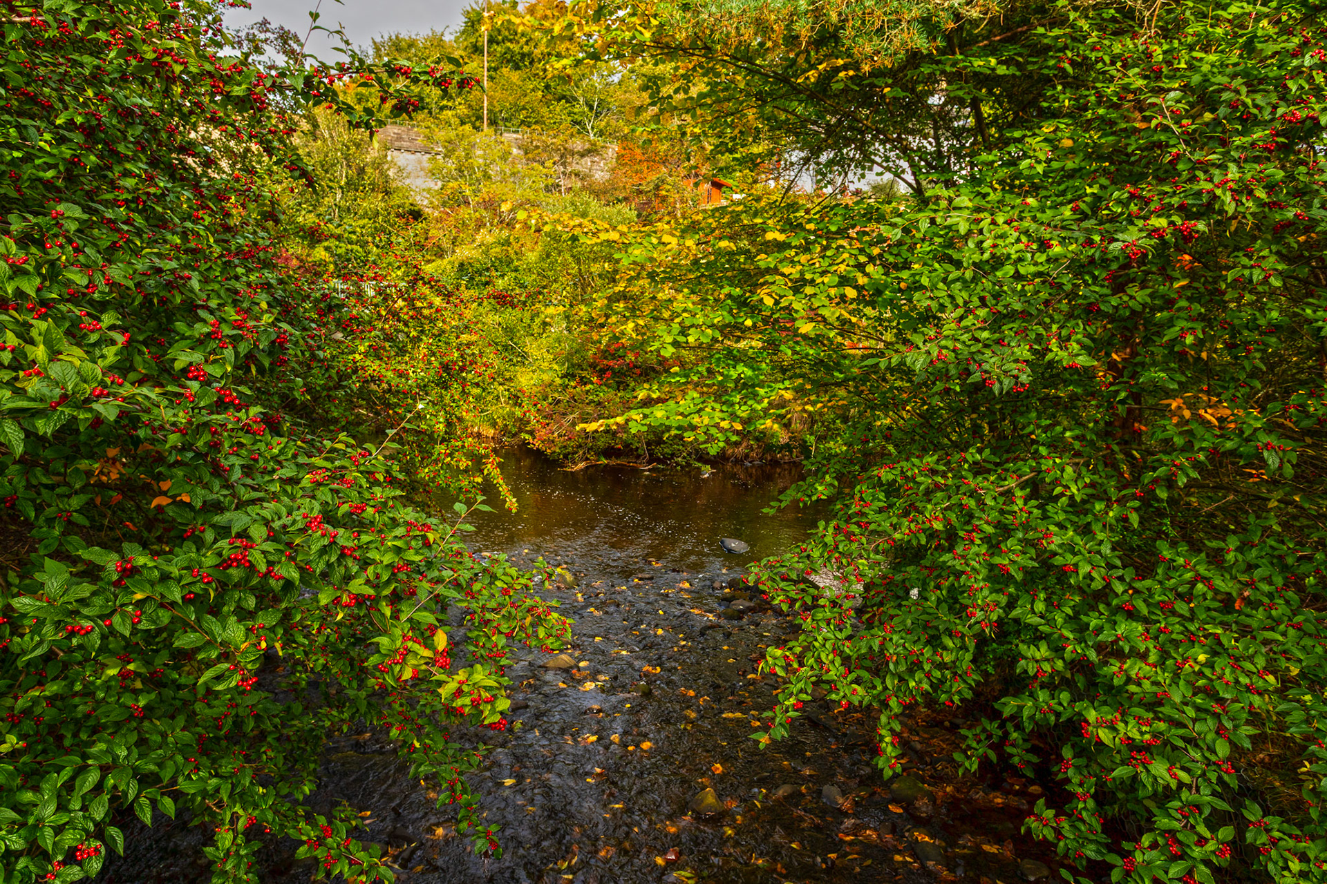 Midcalder 22 Sep 2025