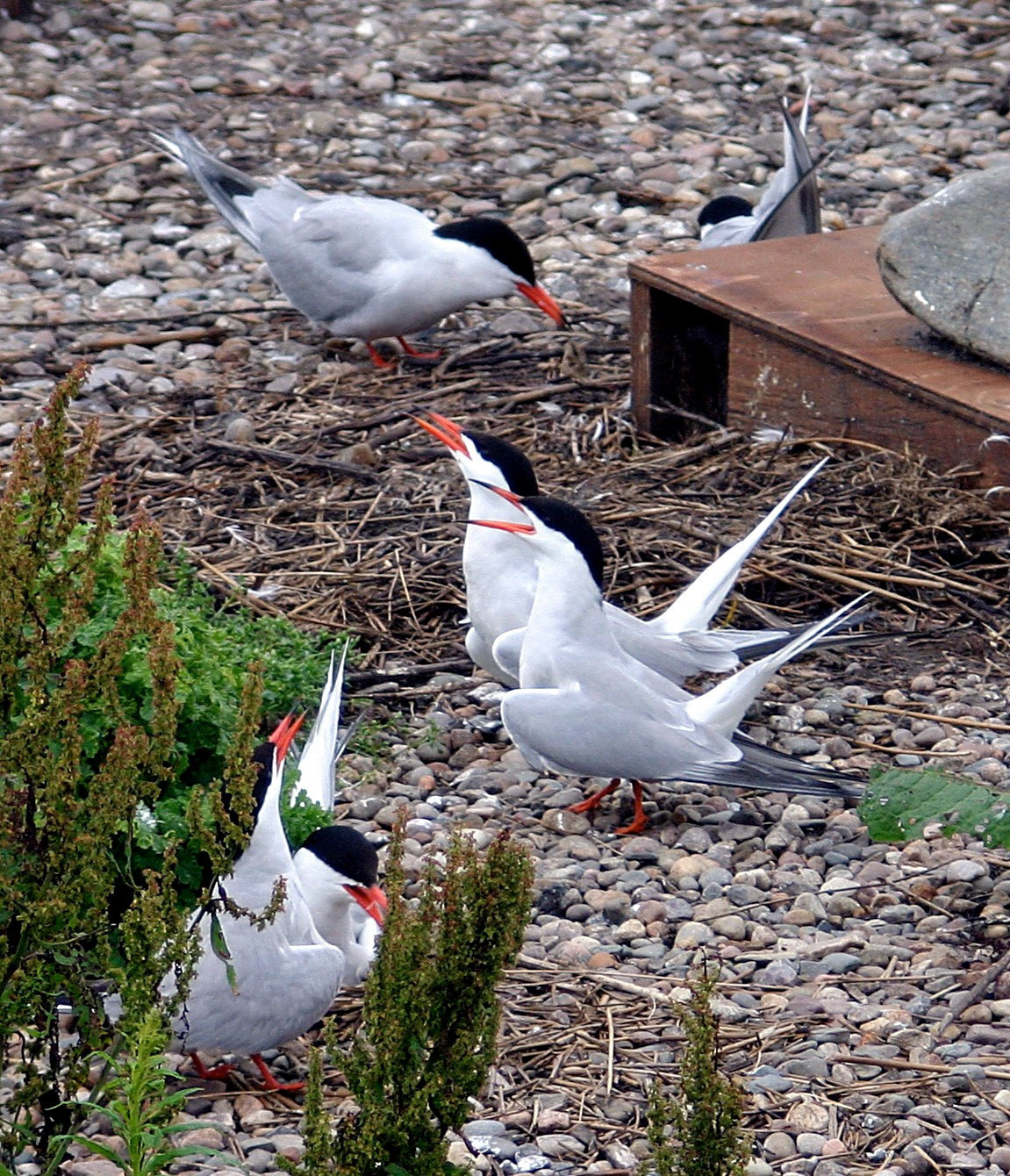 Loch of Strathbeg Please see my other Photographs at: http://www.jamespdeans.co.uk/