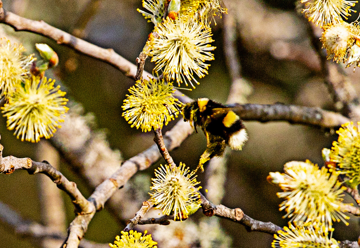 Loch Shin 04 May 2024