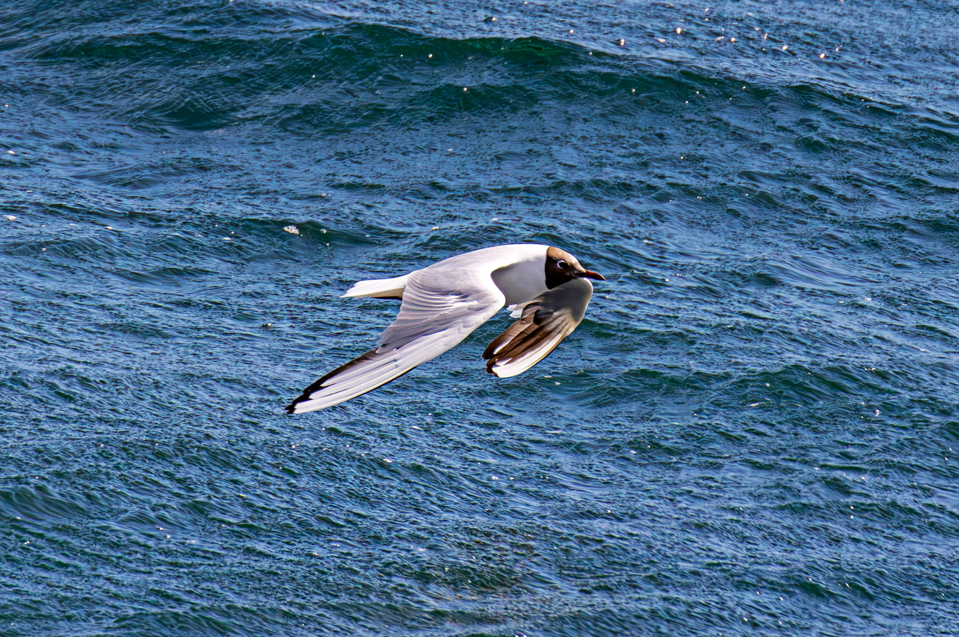Stonehaven 30 July 2026