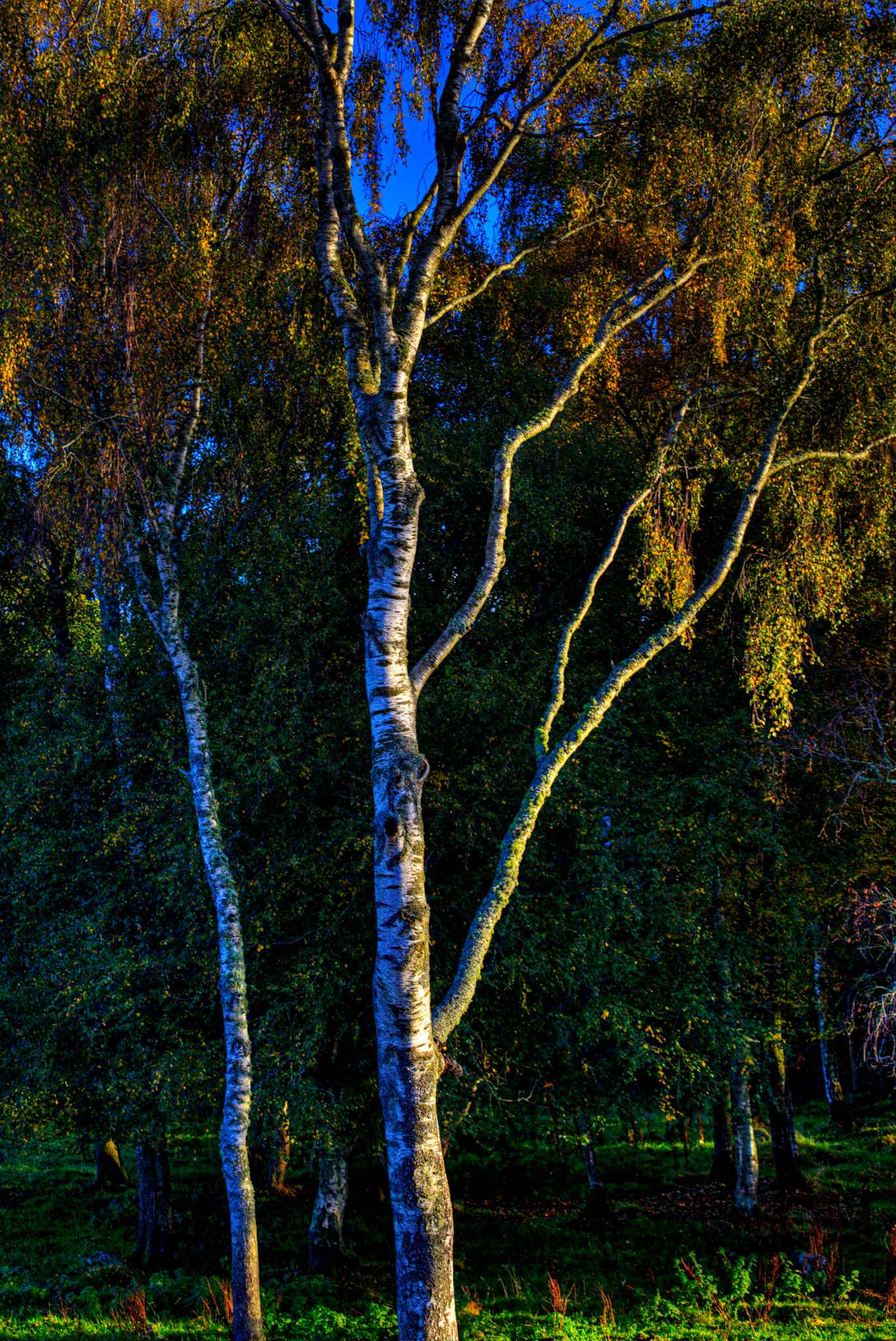 Autumn in Aberdeenshire 14 to 16 October 2022