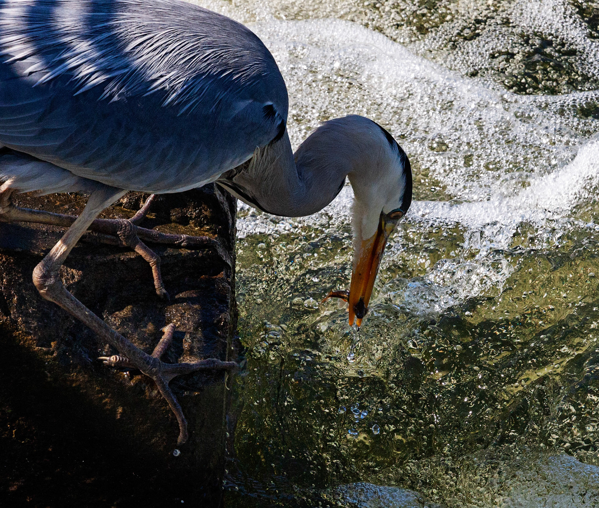 Durham 04 to  07 May 2018Please see my other Photographs at: www.jamespdeans.co.uk