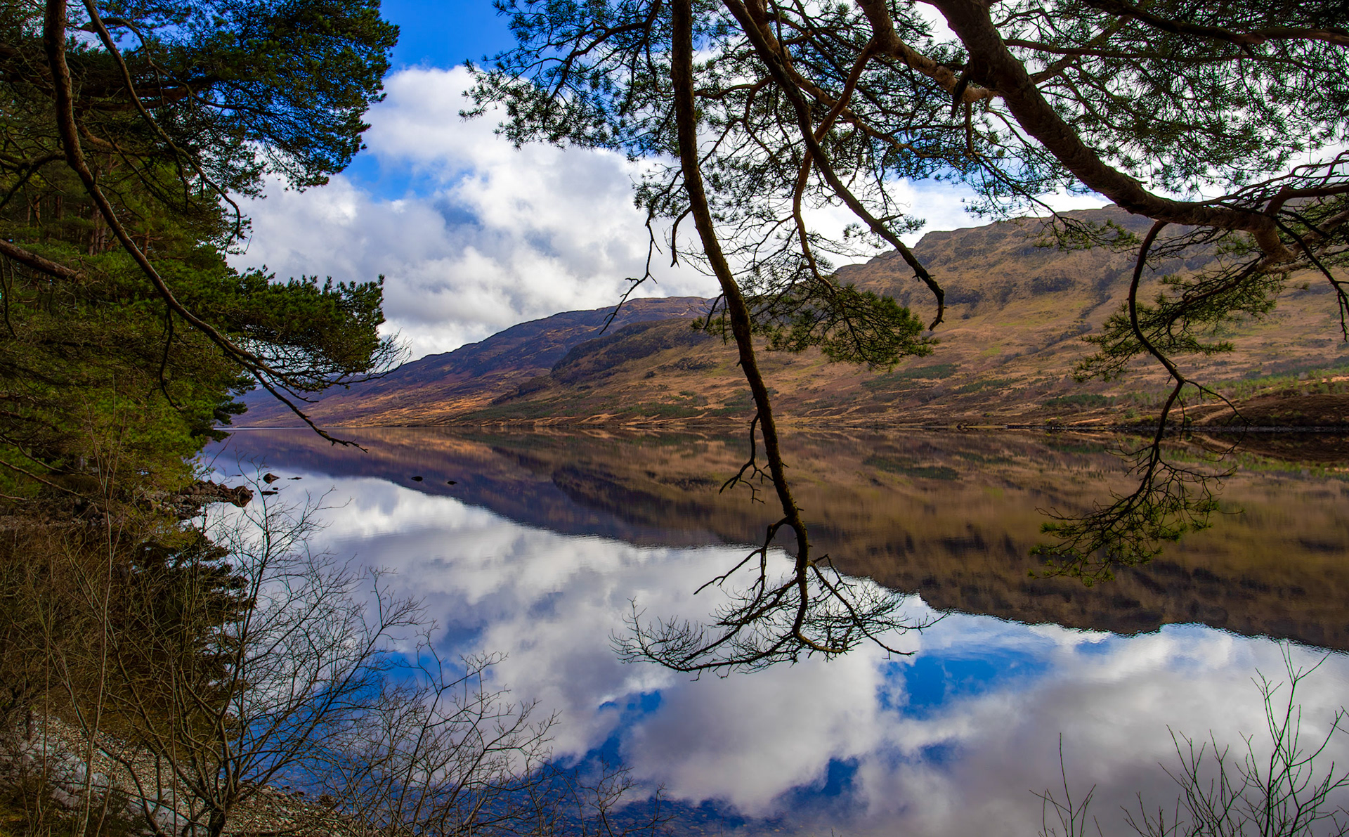 Loch Arklet 28 February 2026