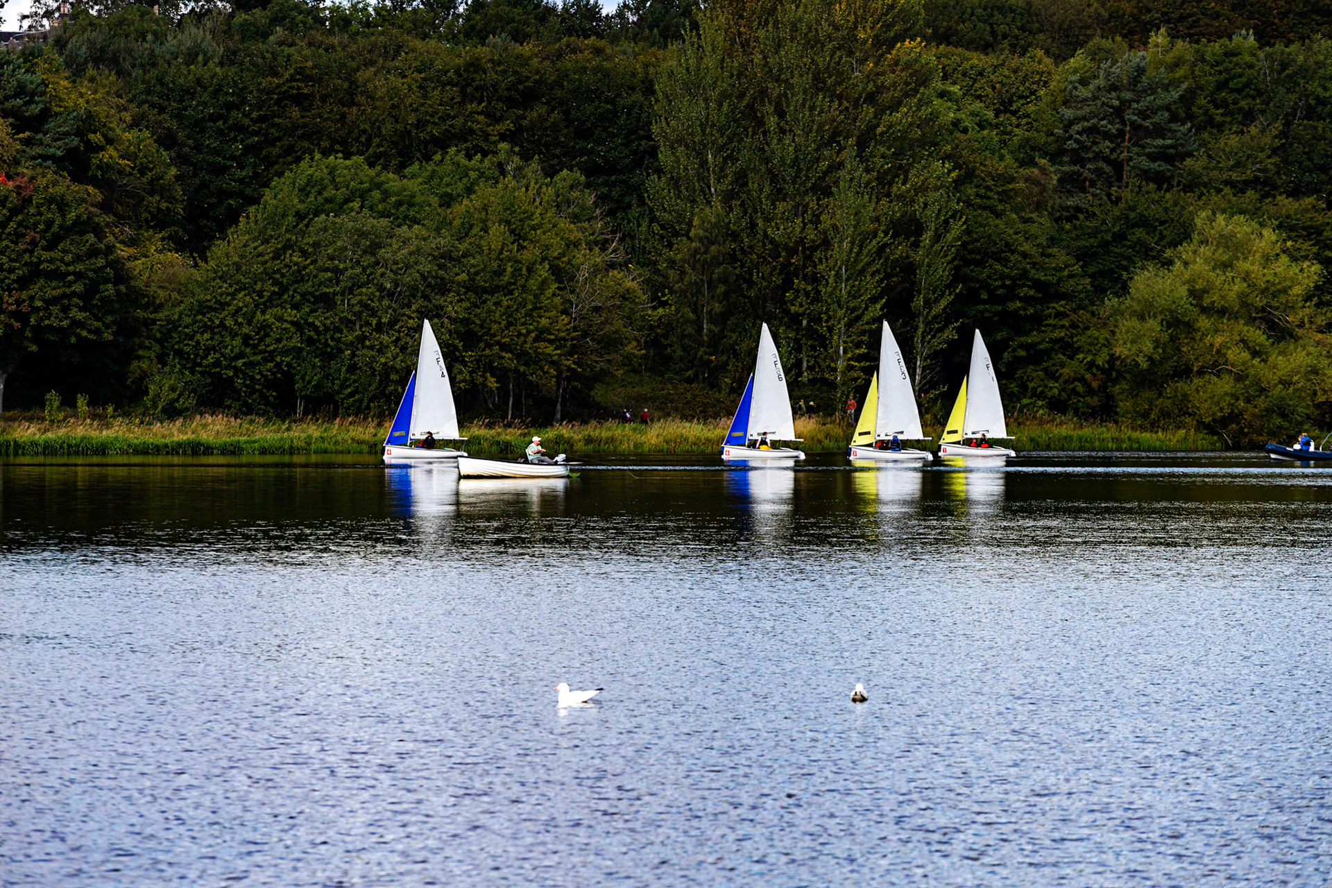 Sailing on Linlithgow Loch, with Reflections - 24 September 2022