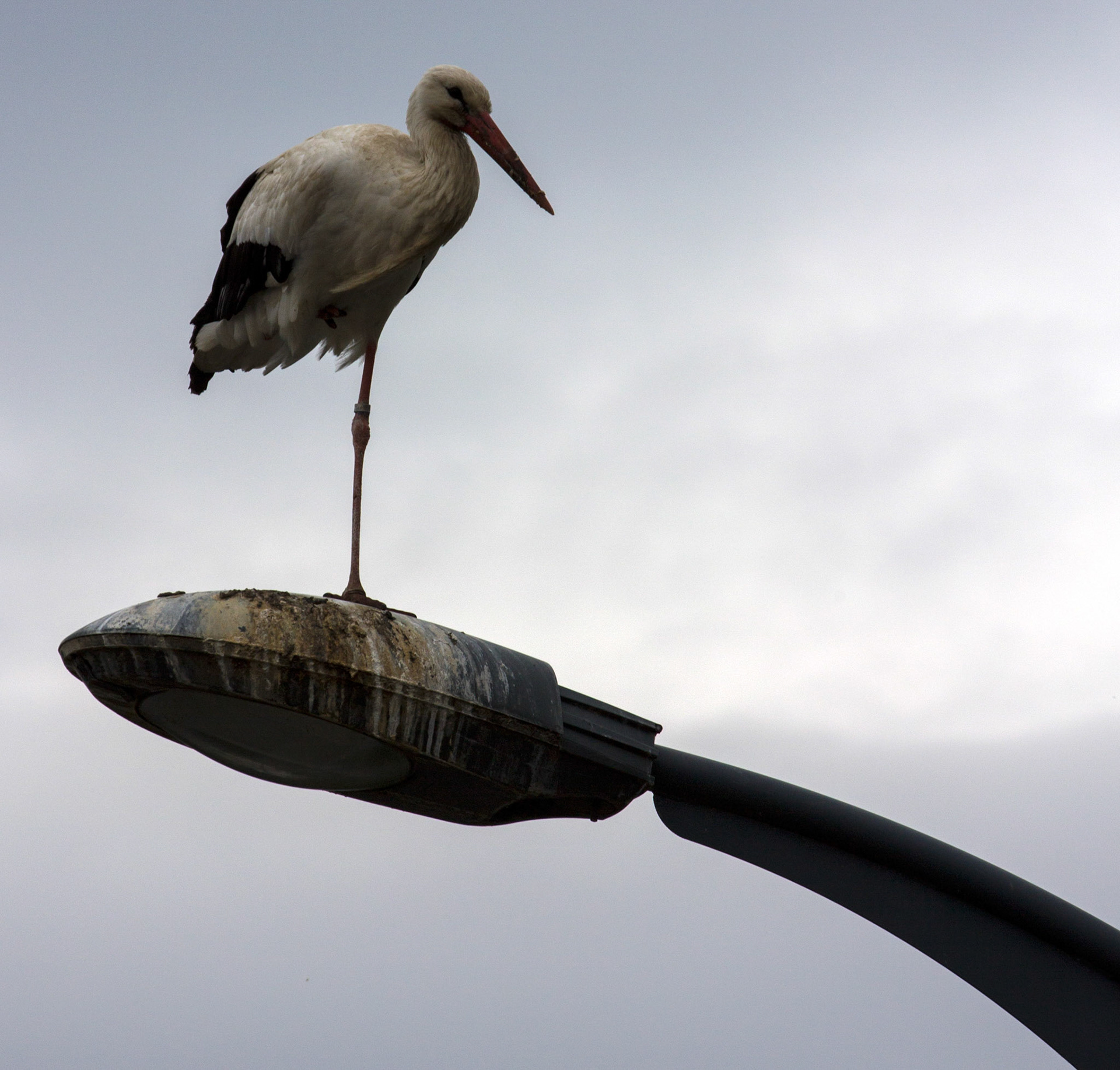 CernayPlease see my other Photographs at: http://www.jamespdeans.co.uk/