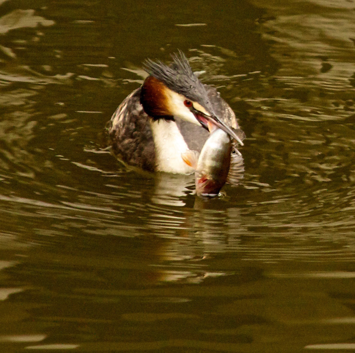 DelftPlease see my other Photographs at: http://www.jamespdeans.co.uk/