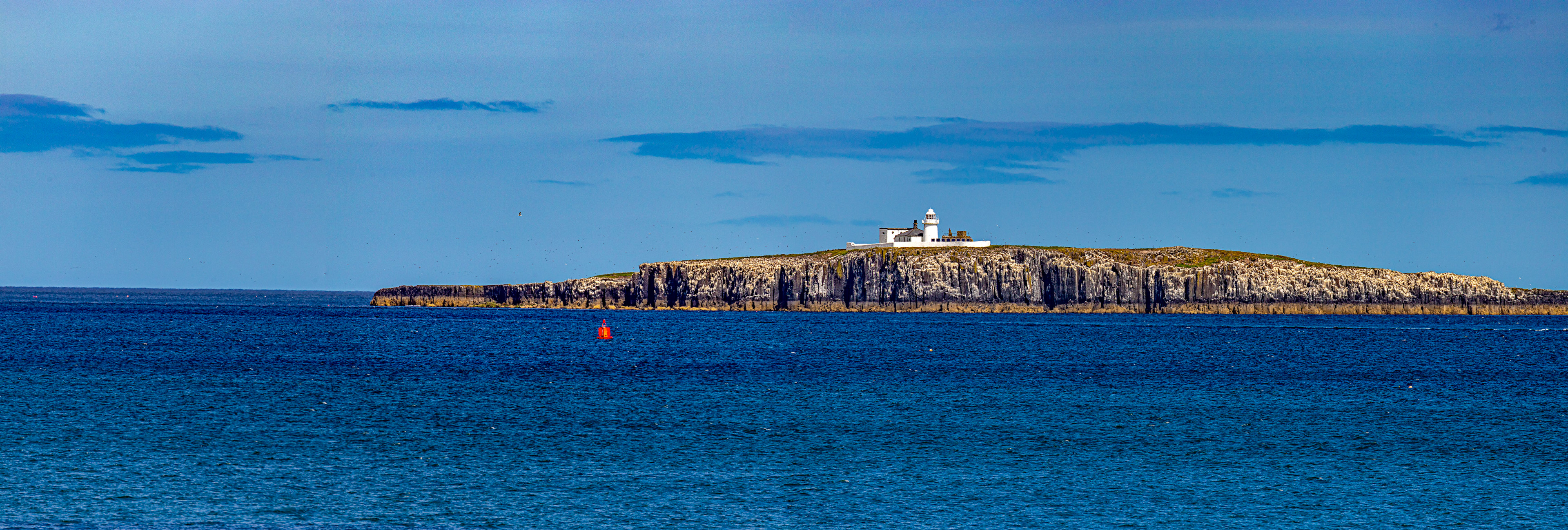 Farne Lighthouse - Farne Islands 03 July 2026