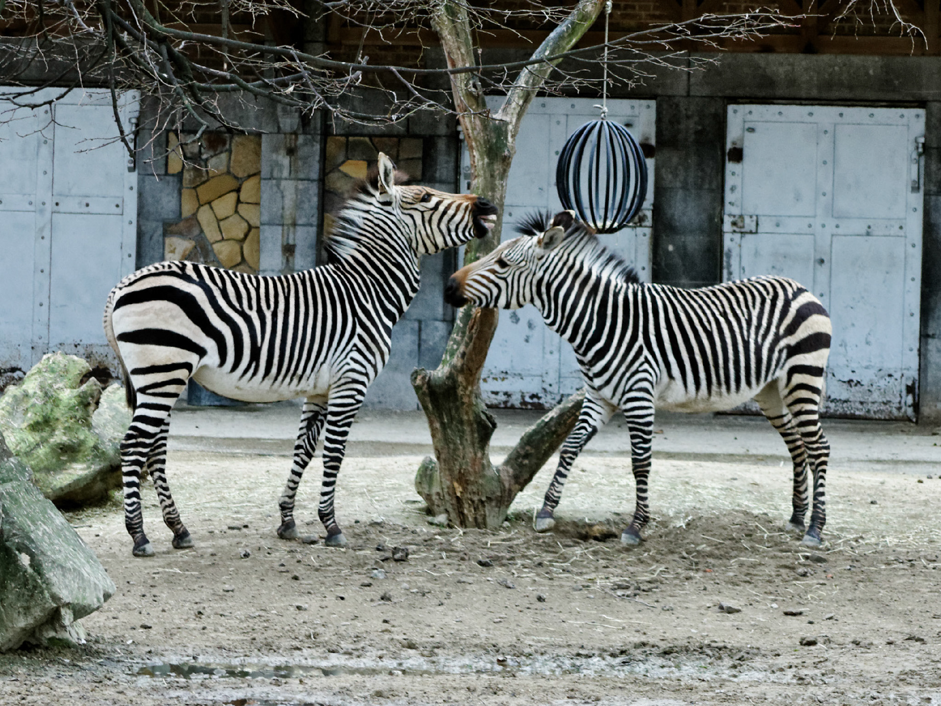 AntwerpPlease see my other Photographs at: http://www.jamespdeans.co.uk/