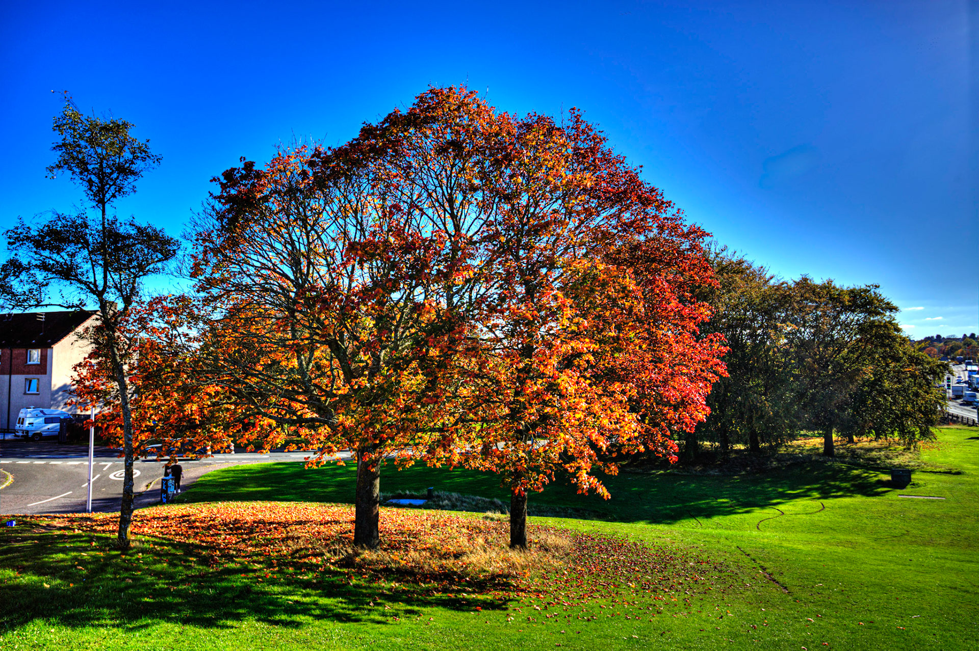 Dundee 15 October 2025