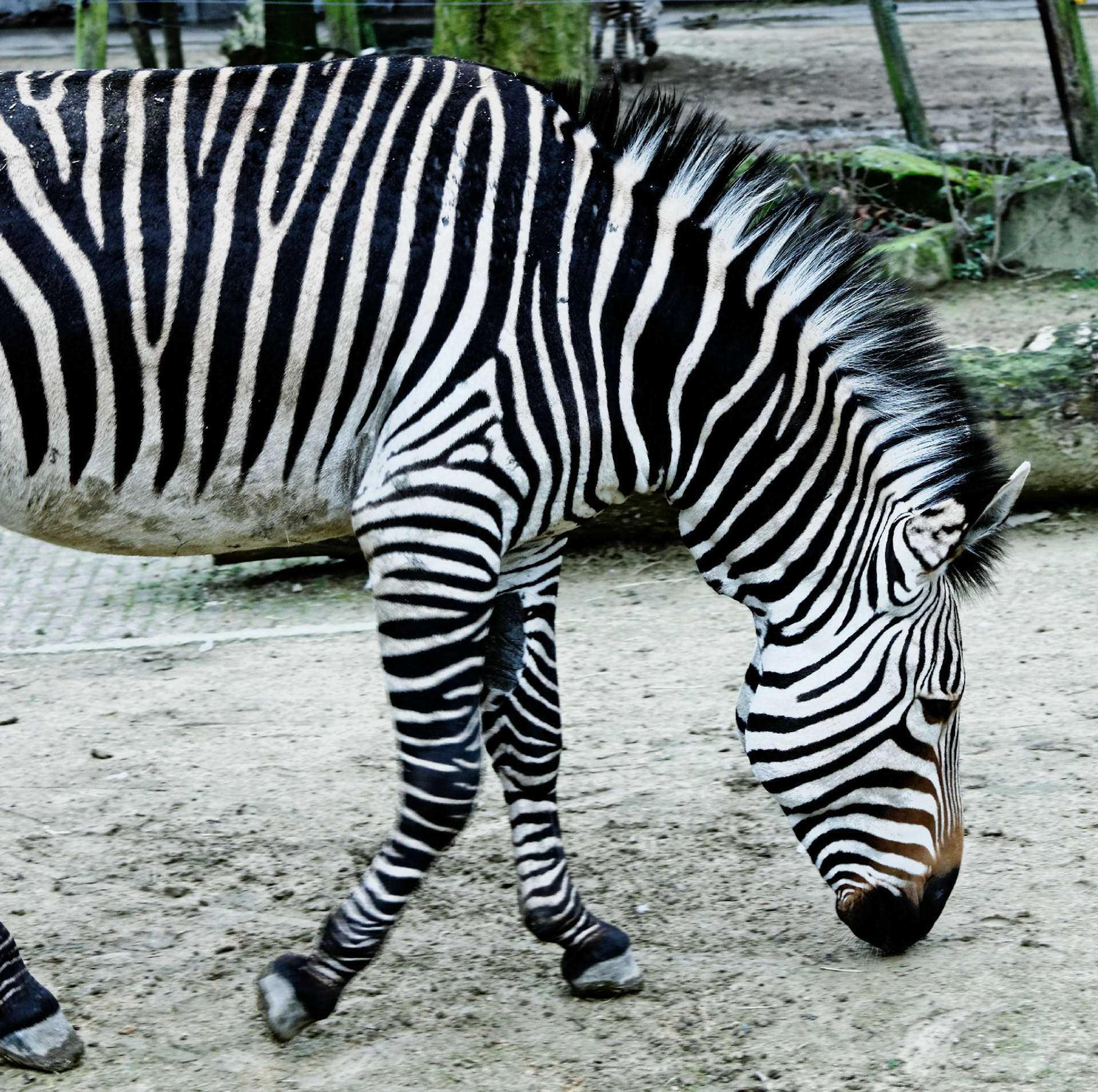 AntwerpPlease see my other Photographs at: http://www.jamespdeans.co.uk/