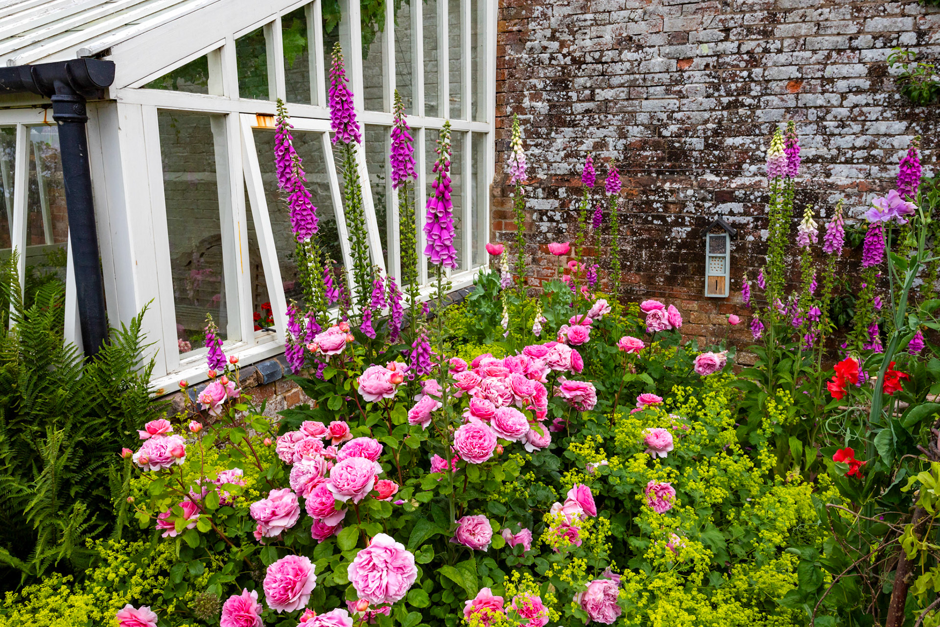 Baddesley Clinton 18 June 2023