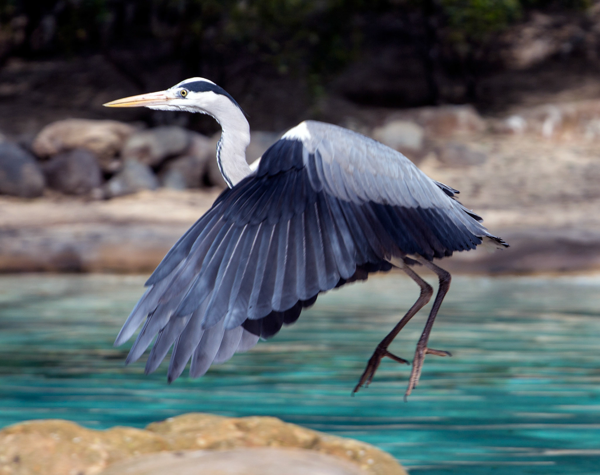 LondonPlease see my other Photographs at: http://www.jamespdeans.co.uk/