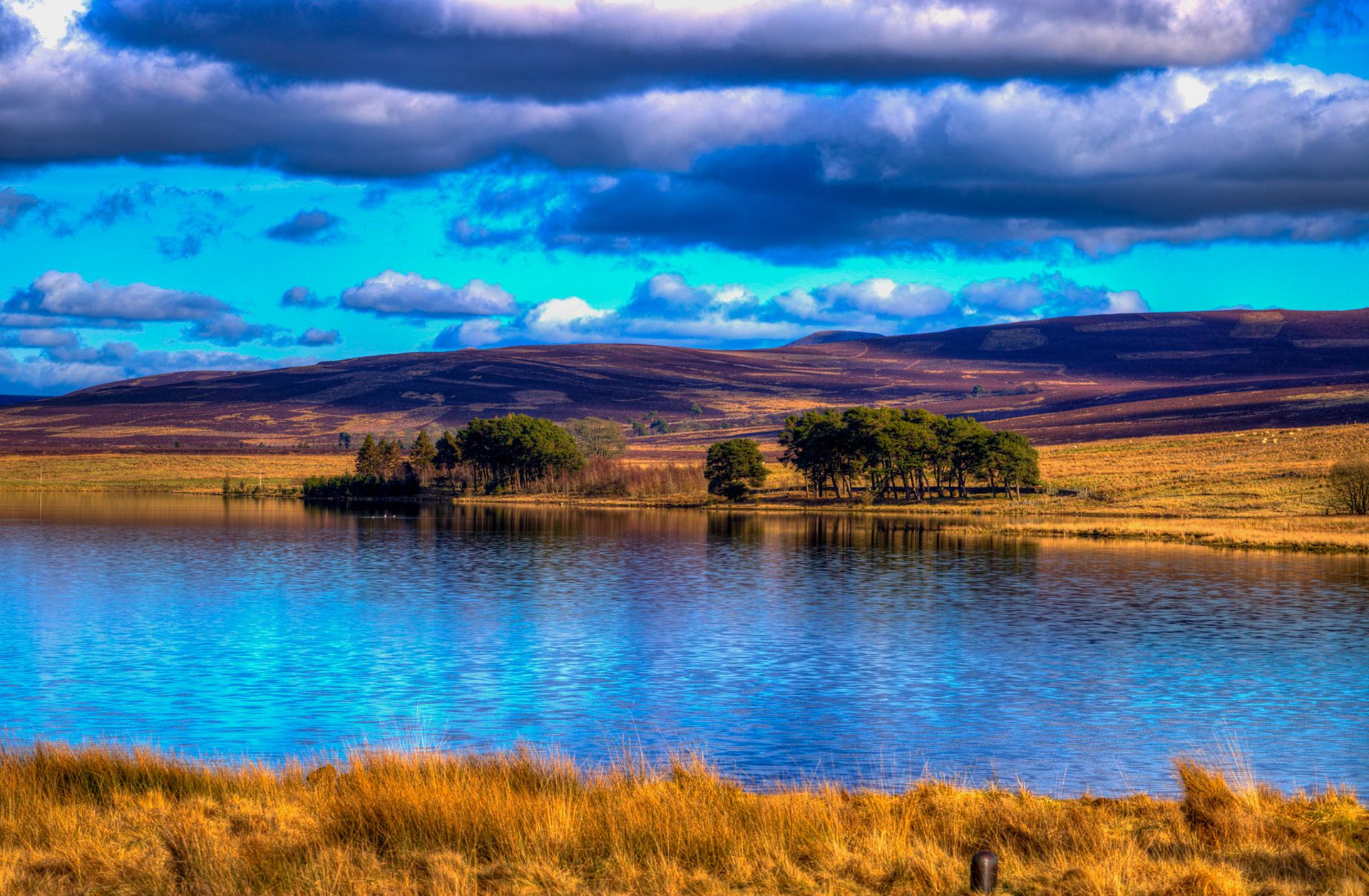 Harperrig Reservoir 26 Feb 2024