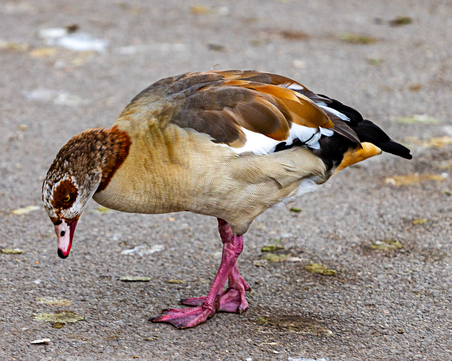 Reading 07 June 2024