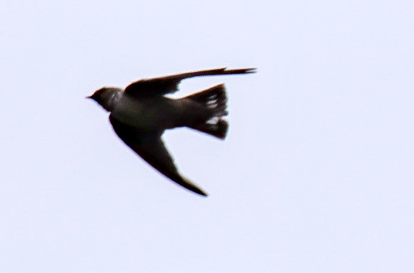 Crag Martin Lixa 26 August 2026