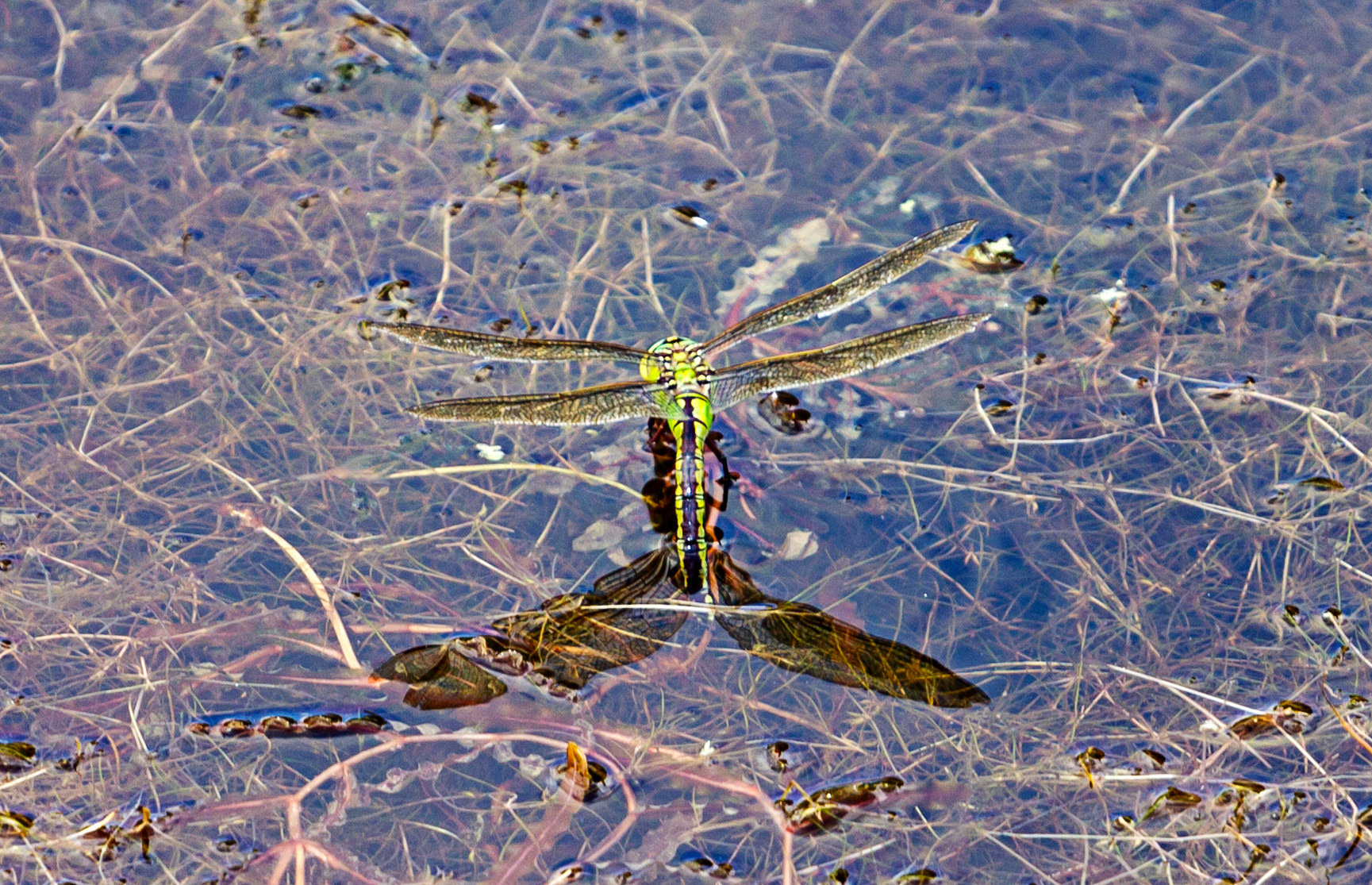 Brockhampton 19 June 2023