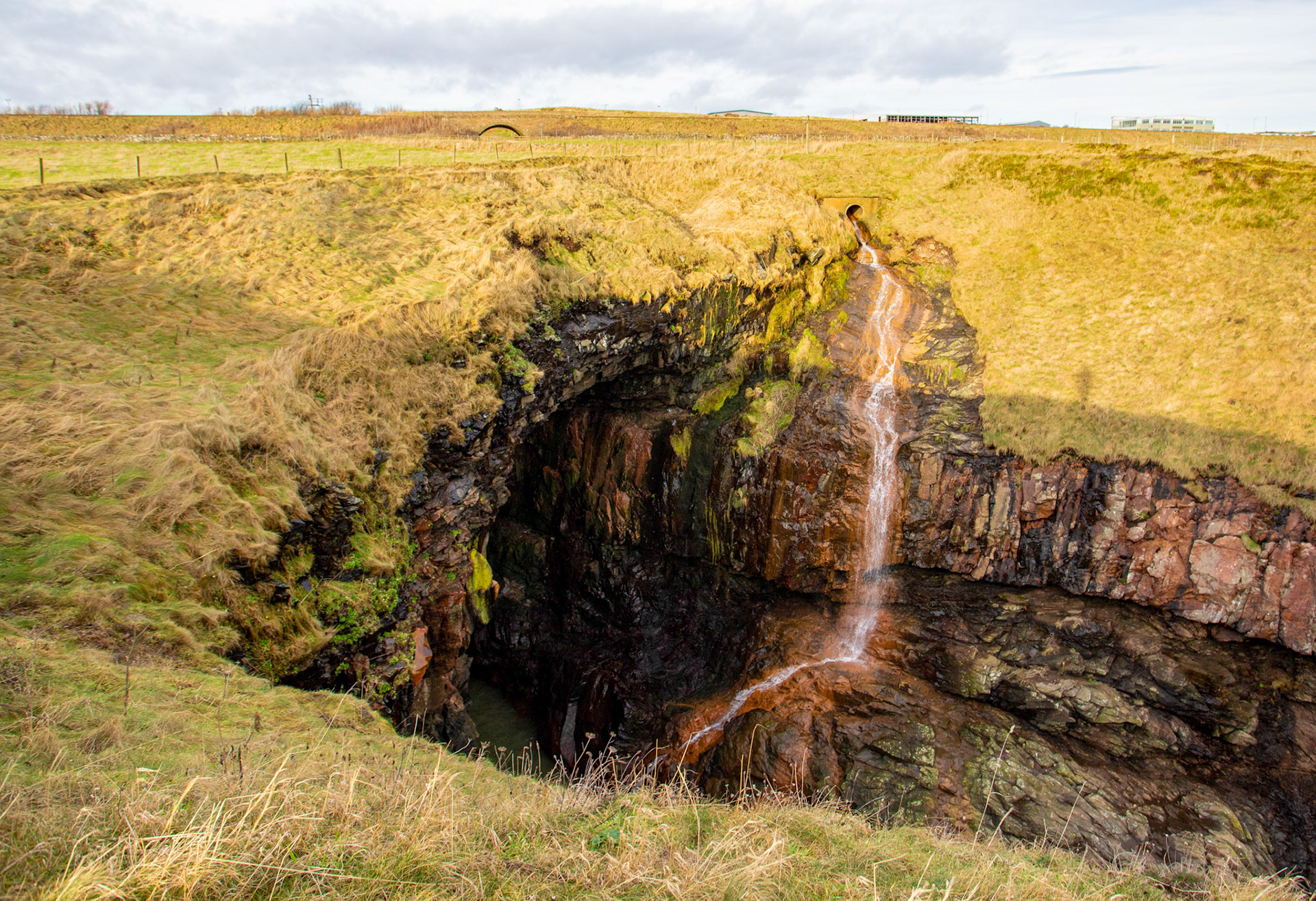 Long Slough - Walk Cove to Aberdeen 27 January 2024