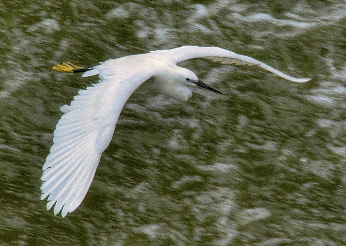FlorencePlease see my other Photographs at: http://www.jamespdeans.co.uk/