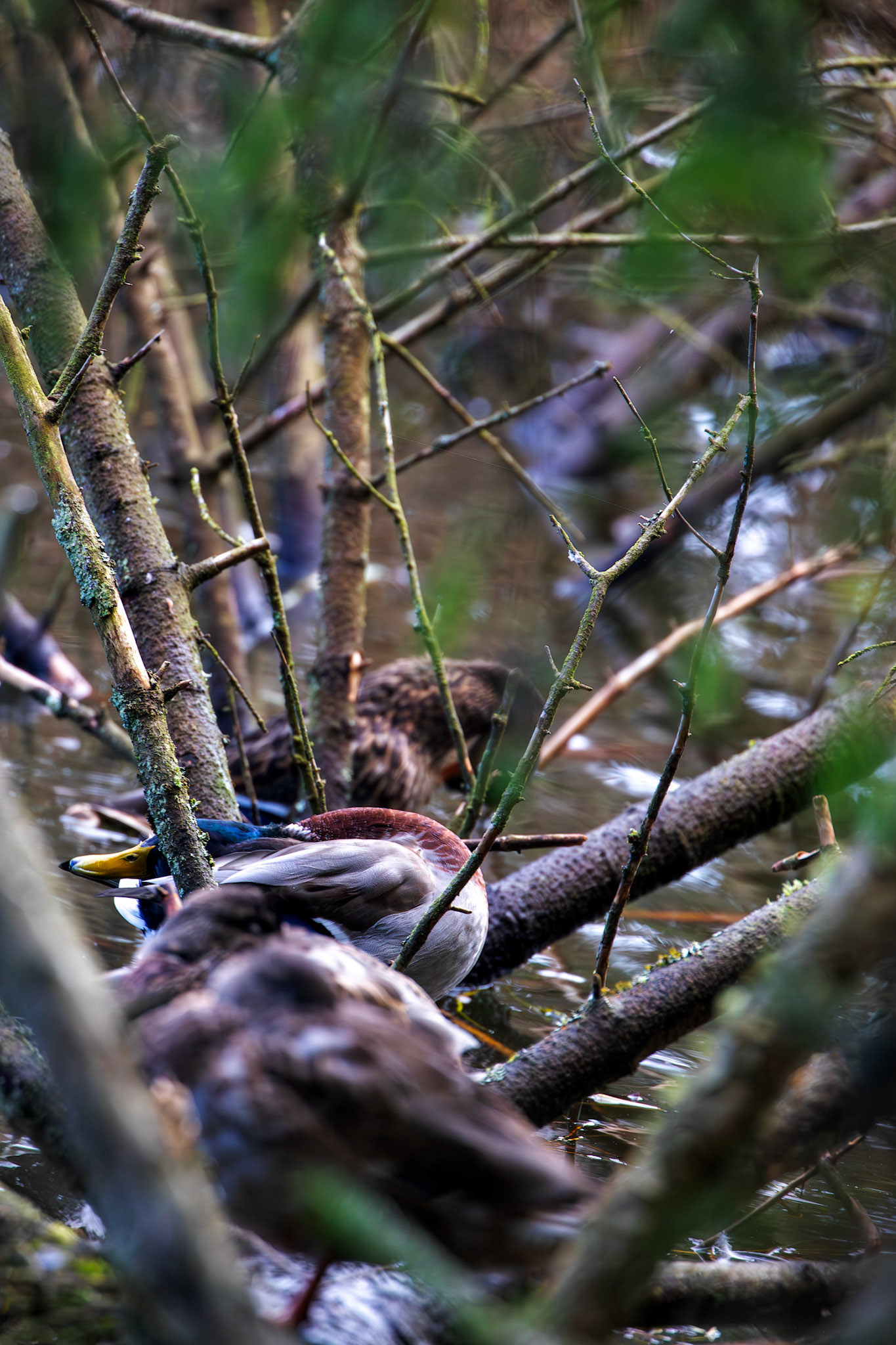 Beecraigs 24 September 2024