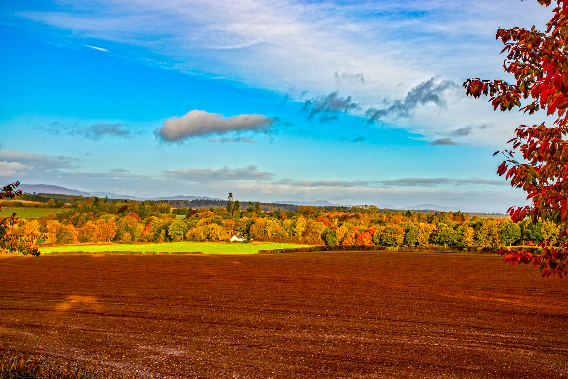 Autumnal Tour around Perthshire 19 October 2024