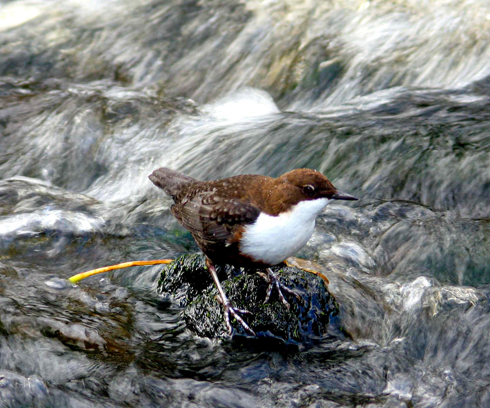 EdinburghPlease see my other Photographs at: http://www.jamespdeans.co.uk/