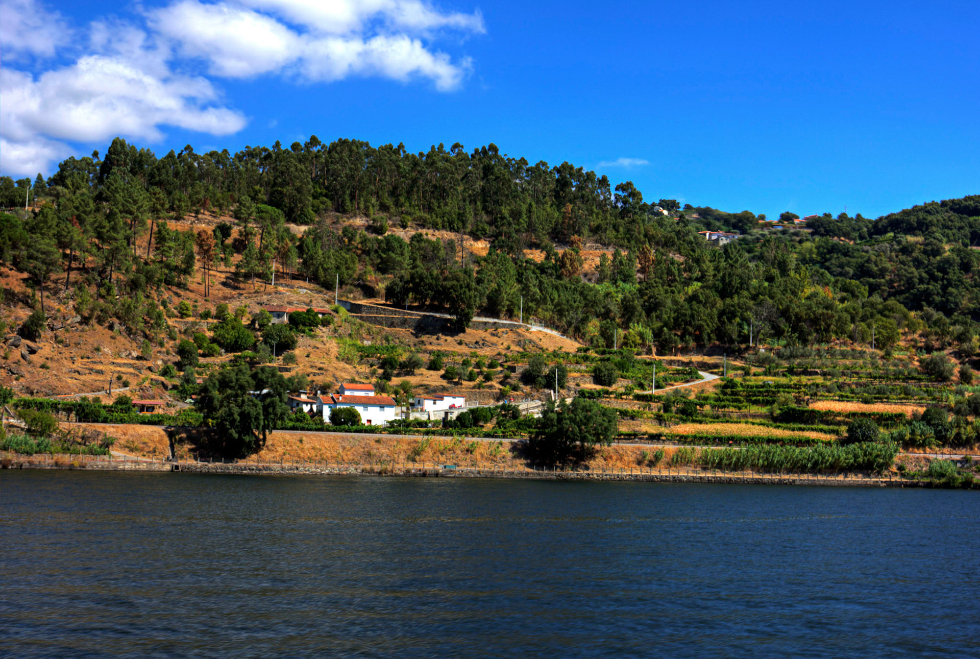 Douro cruise 21 August 2026