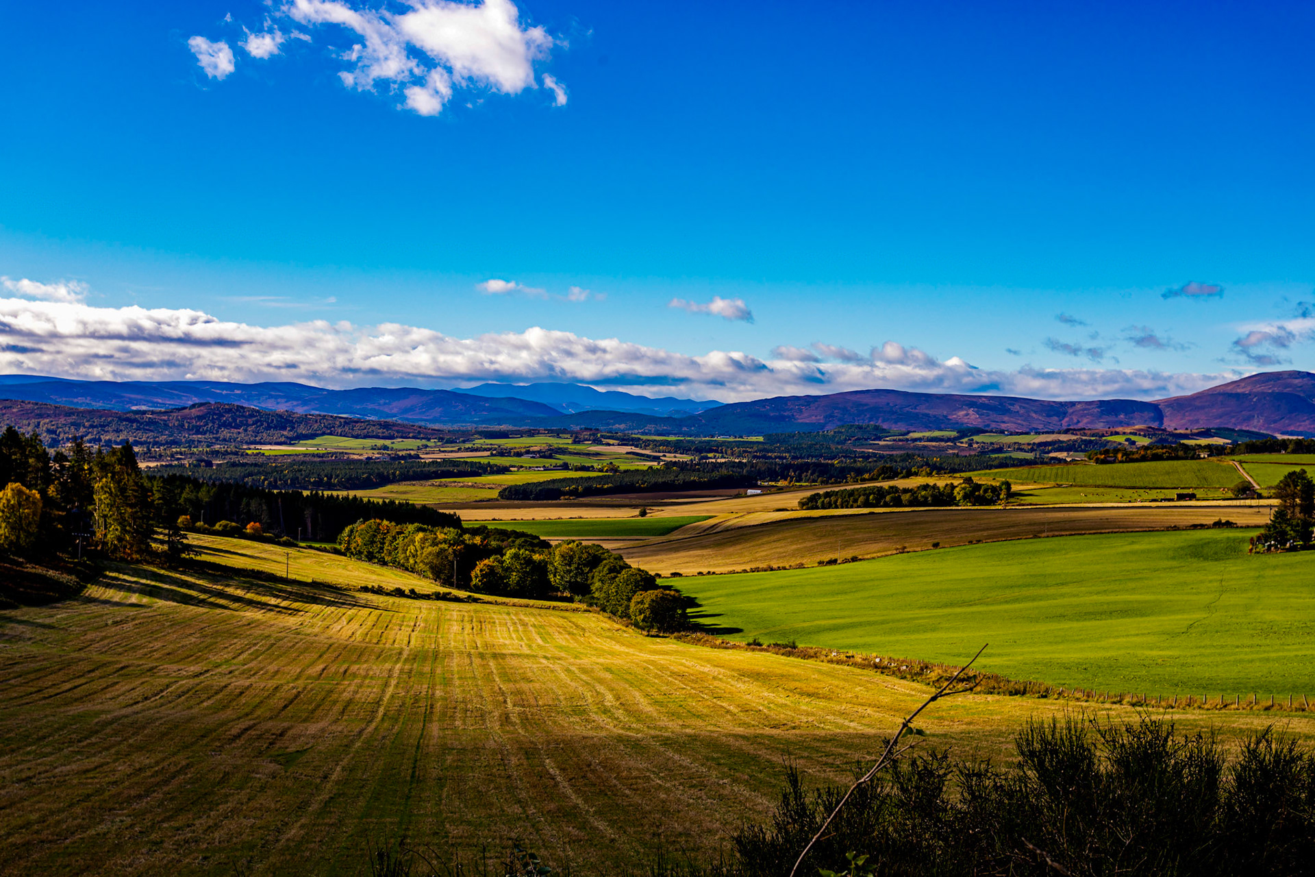 Autumn in Aberdeenshire 14 to 16 October 2022