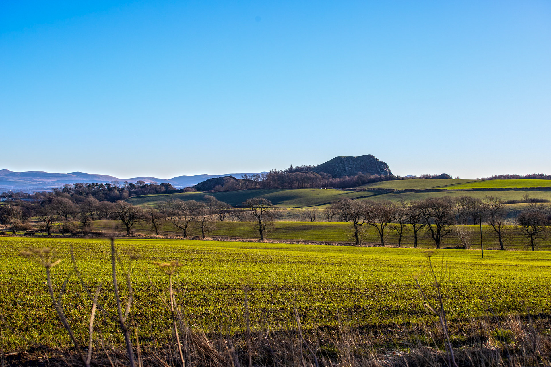 Binny Craig 17 January 2024