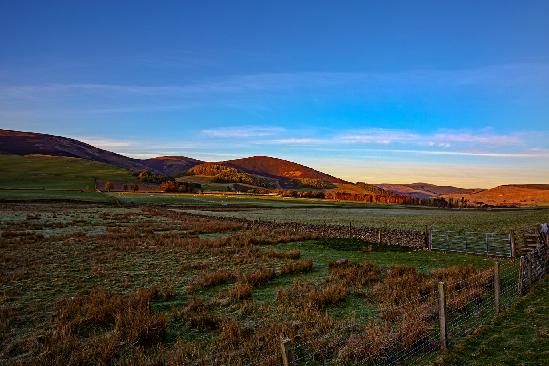 Scenery around Cademuir Hill