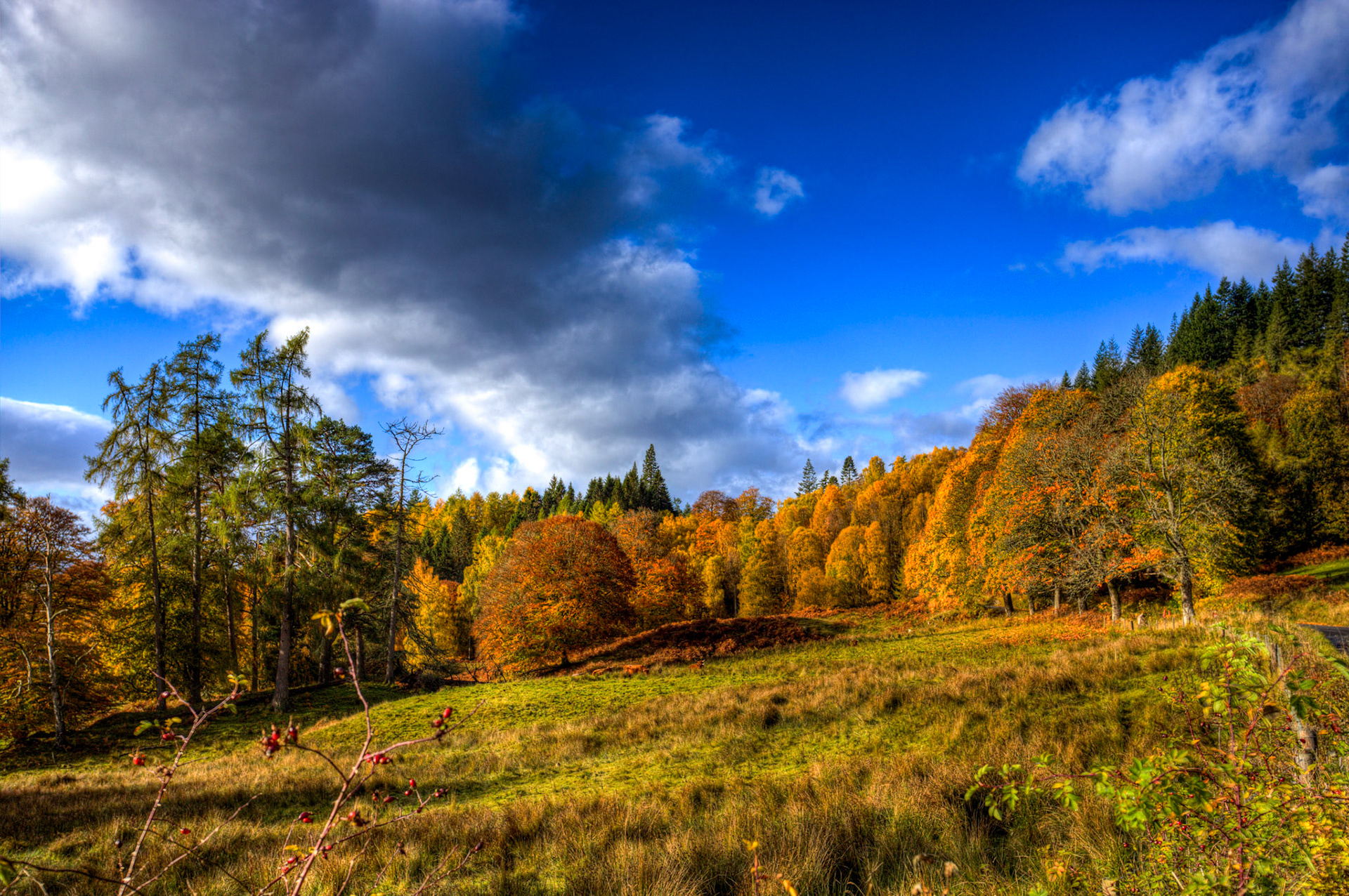 Autumnal Tour around Perthshire 19 October 2024