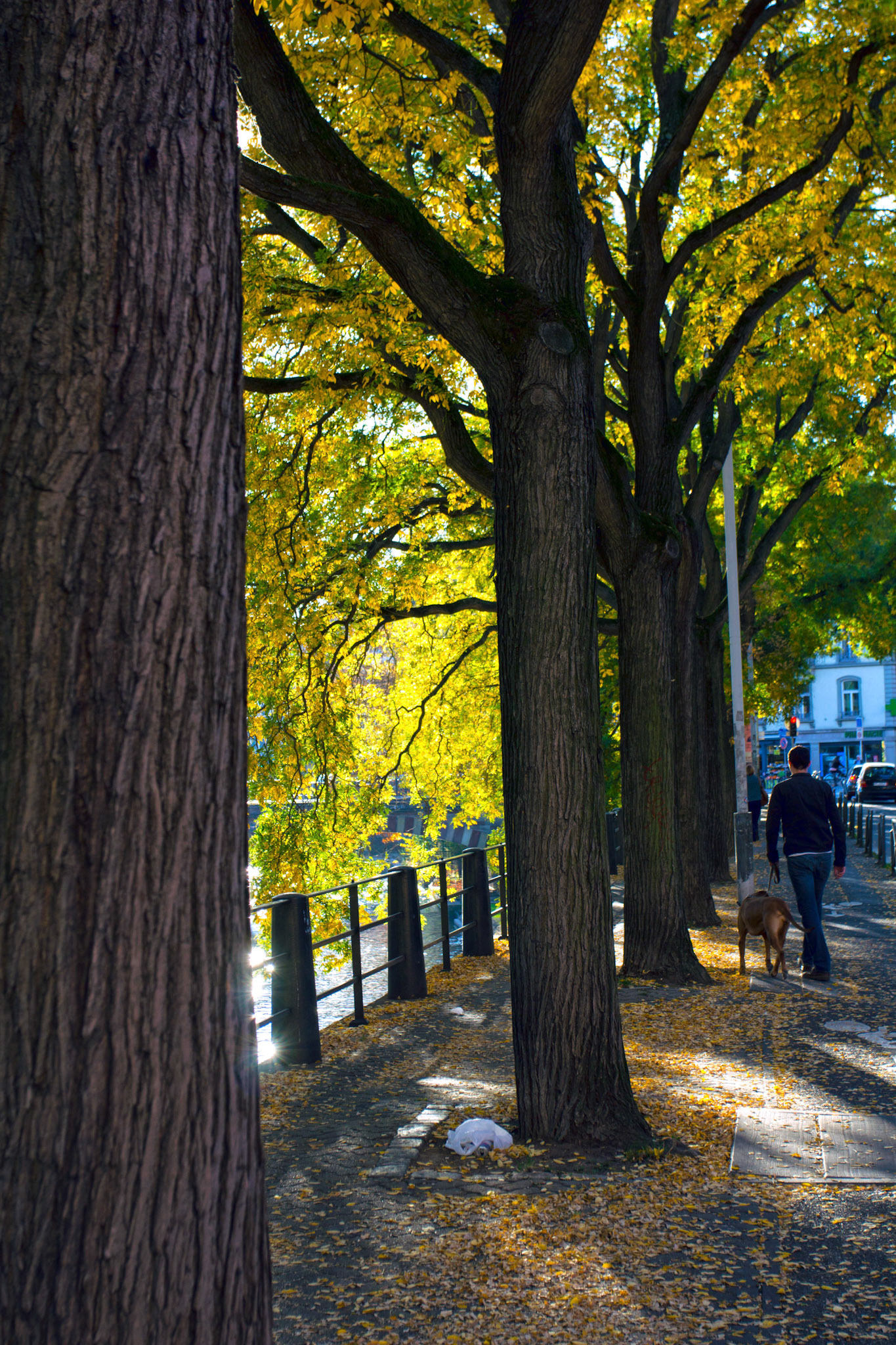 StrasbourgPlease see my other Photographs at: http://www.jamespdeans.co.uk/