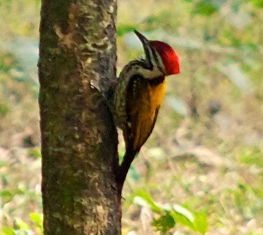 BangladeshPlease see my other Photographs at: http://www.jamespdeans.co.uk/