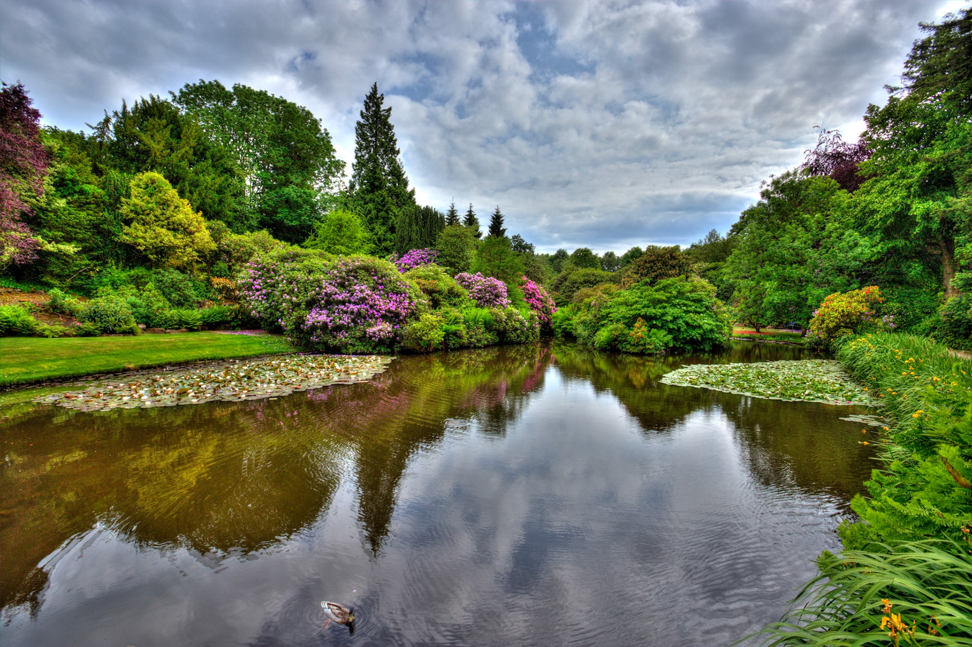 Biddulph Grange Garden 17 June 2023