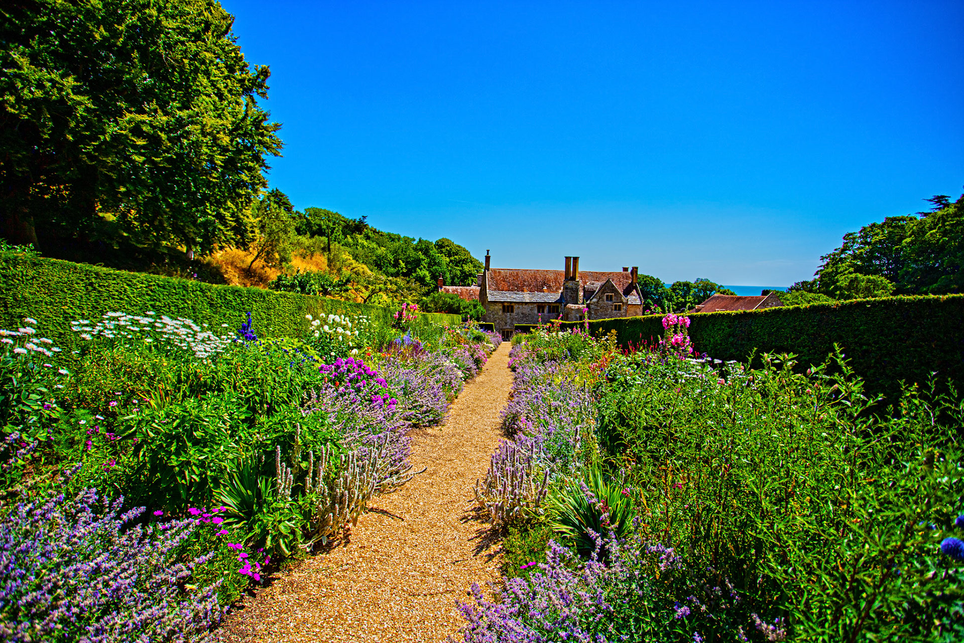 Mottistone IOW 16 July 2022