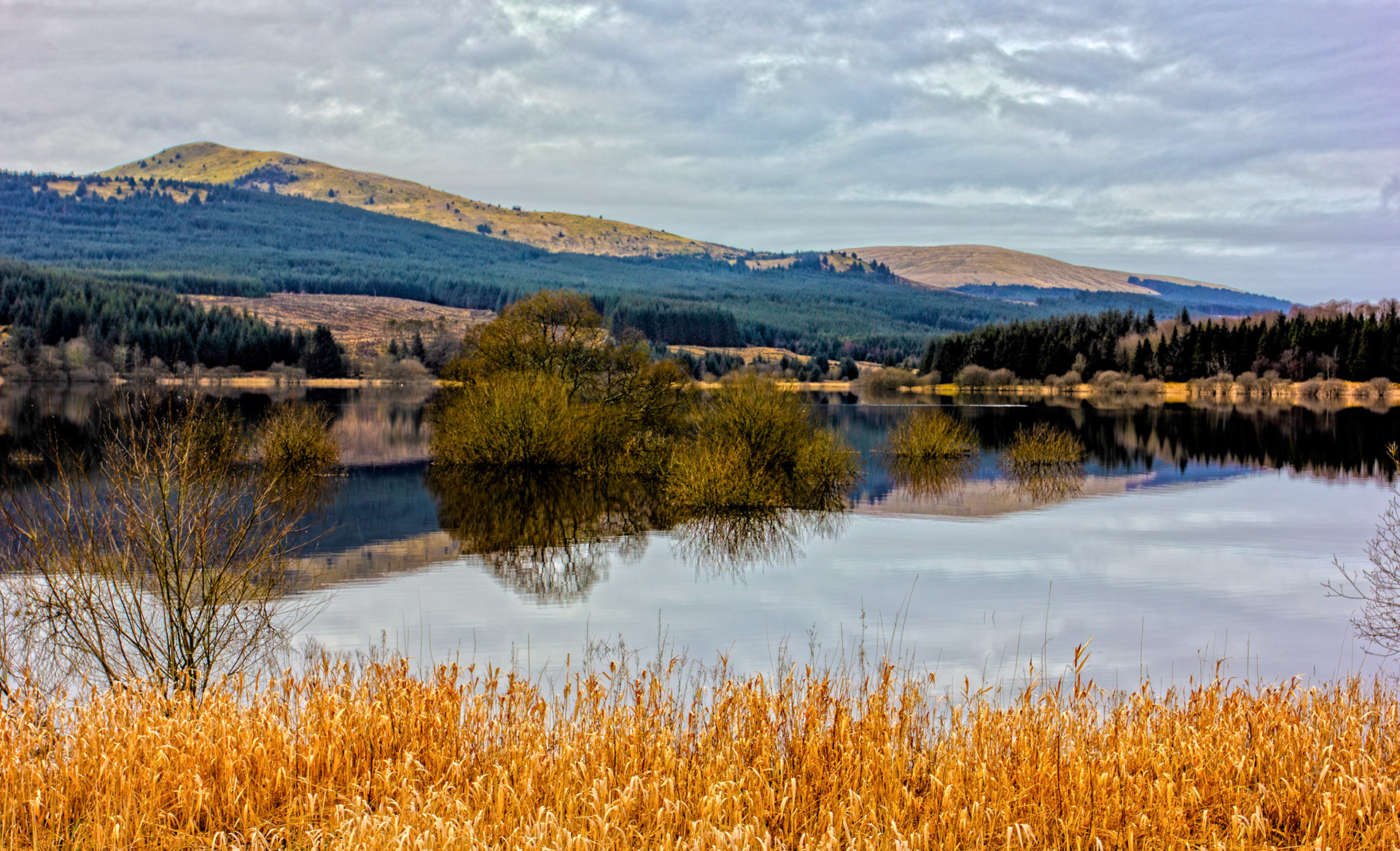 Carron Valley Reservoir 28 February 2026