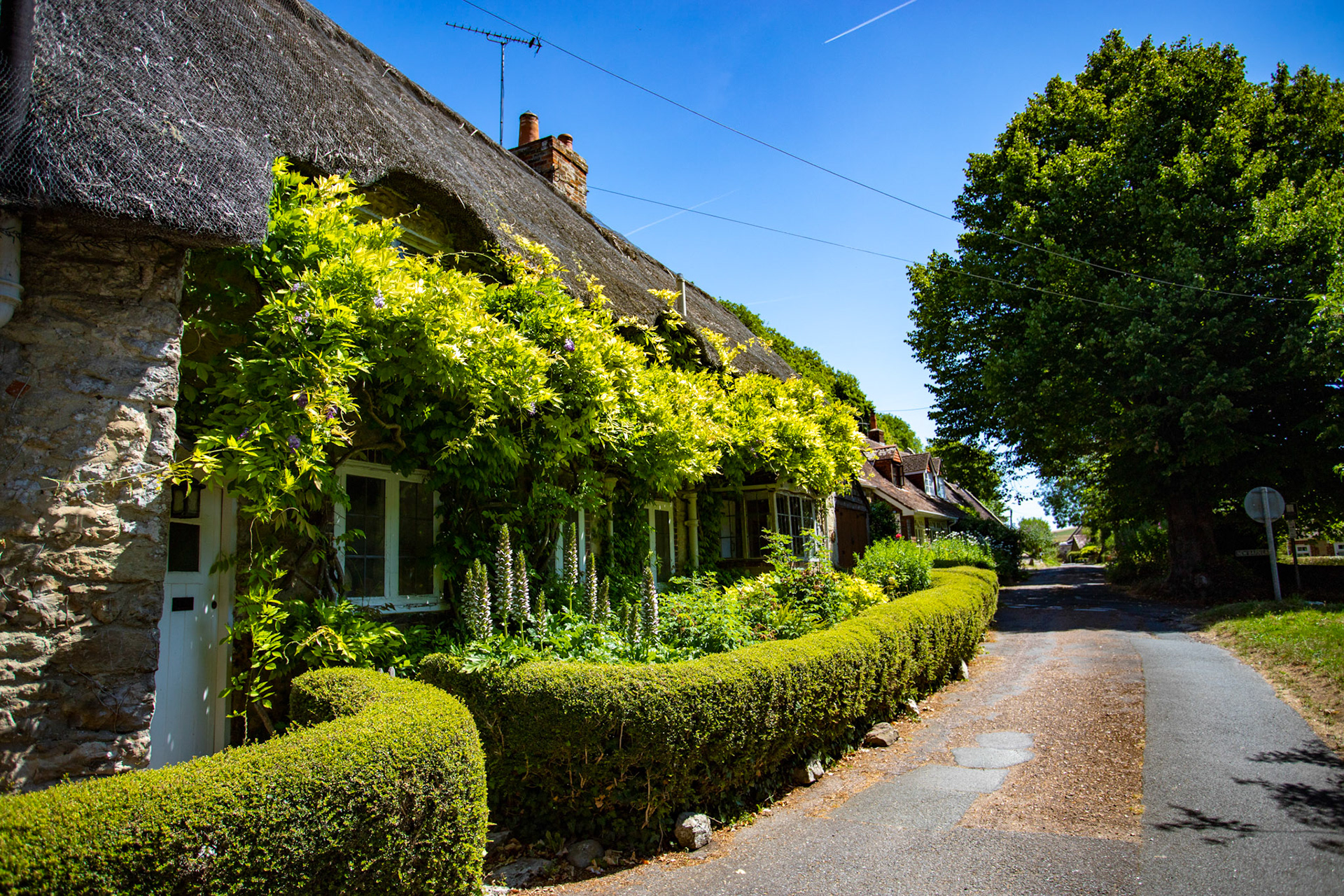 Shorwell IOW 16 July 2022