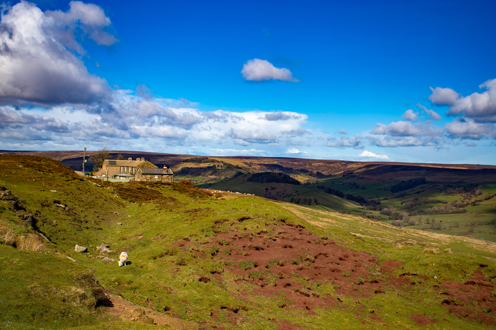 Chimney Bank - North York Moors 25 March 2026