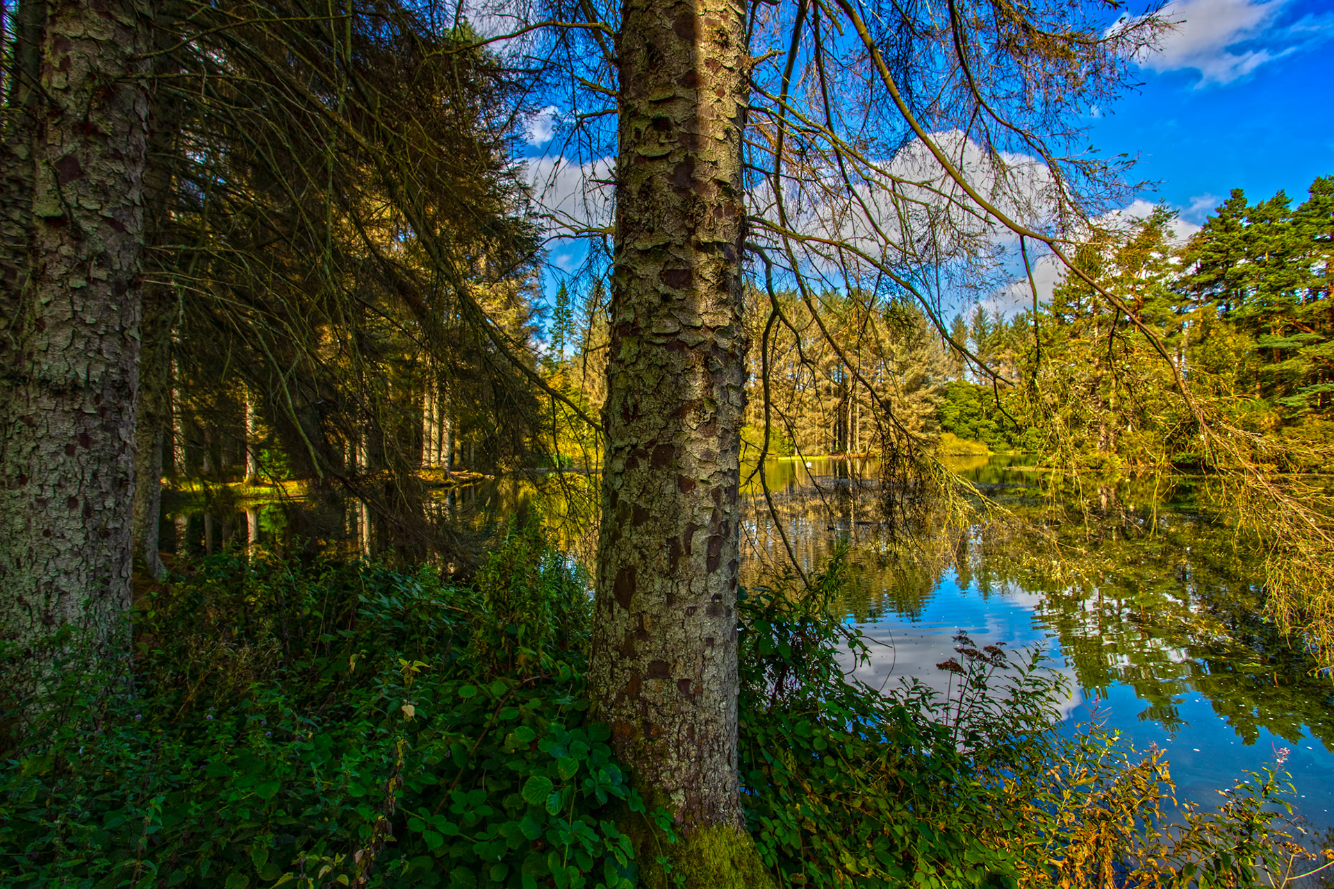 Beecraigs 24 Sept 2025