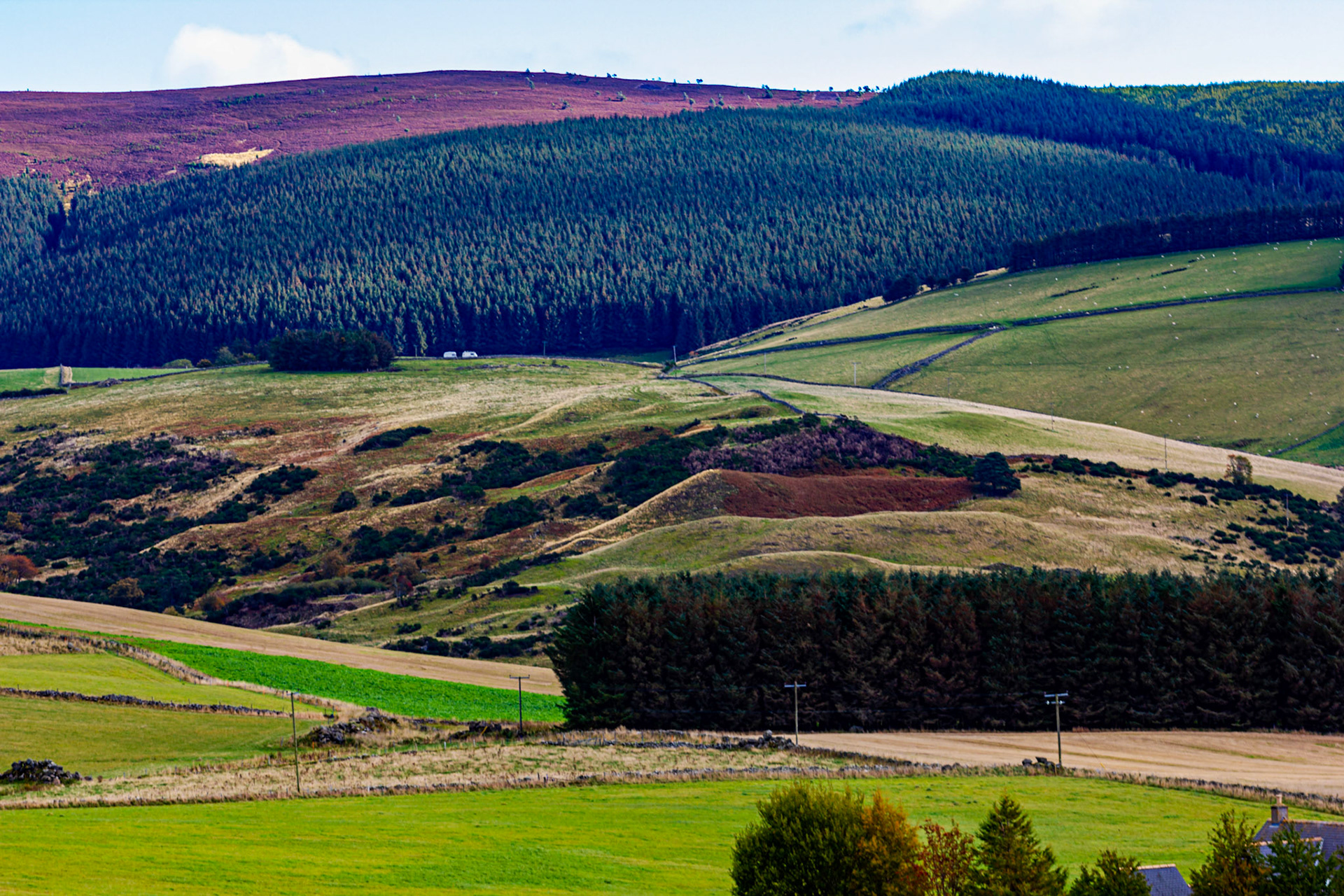 Autumn in Aberdeenshire 14 to 16 October 2022