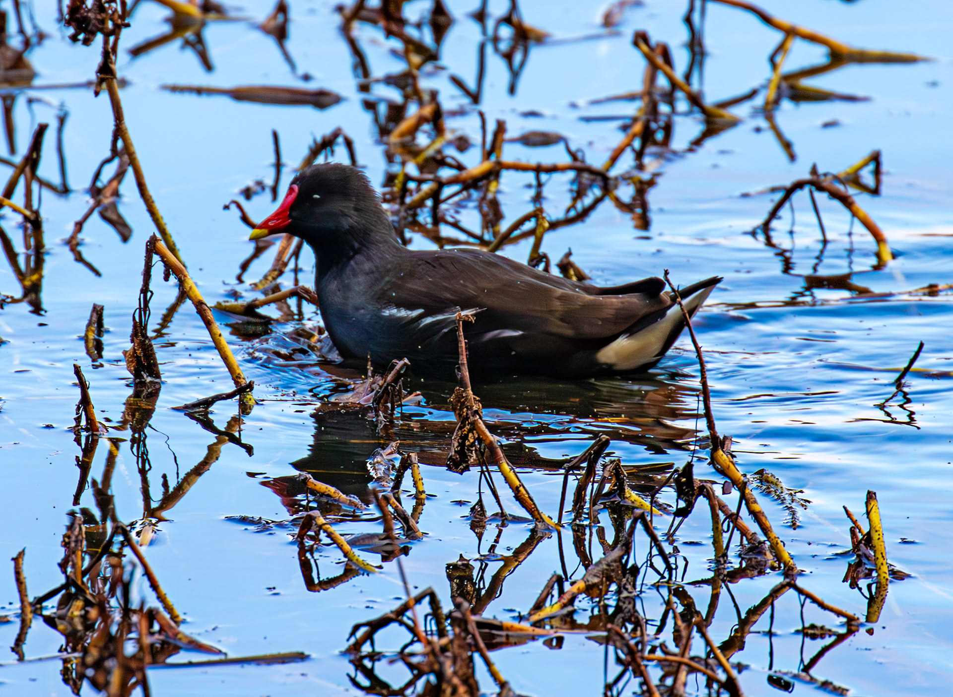 Beecraigs 24 September 2024